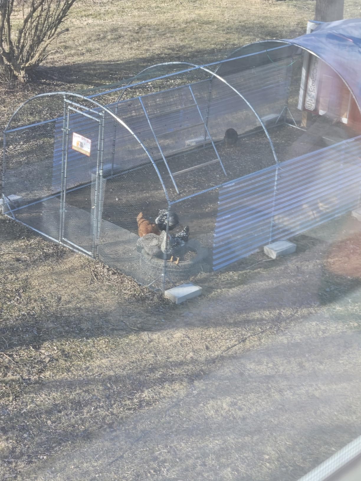 Large Metal Chicken Coop Round Top Upgrade Tri-Supporting Wire Mesh Chicken Run, Chicken Pen with Water-Resistant and Anti-UV Cover, Duck Rabbit House Outdoor (19'L x 9'W x 6.5'H) customer photo 1