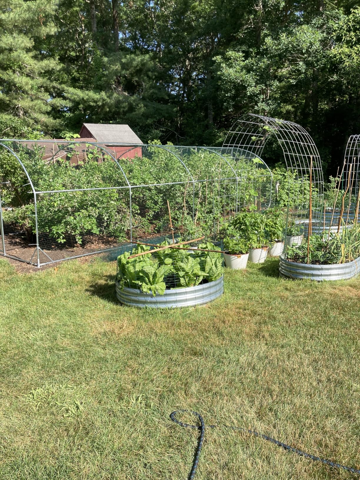 Large Metal Chicken Coop Round Top Upgrade Tri-Supporting Wire Mesh Chicken Run, Chicken Pen with Water-Resistant and Anti-UV Cover, Duck Rabbit House Outdoor (13'L x 9'W x 6.5'H) customer photo 2