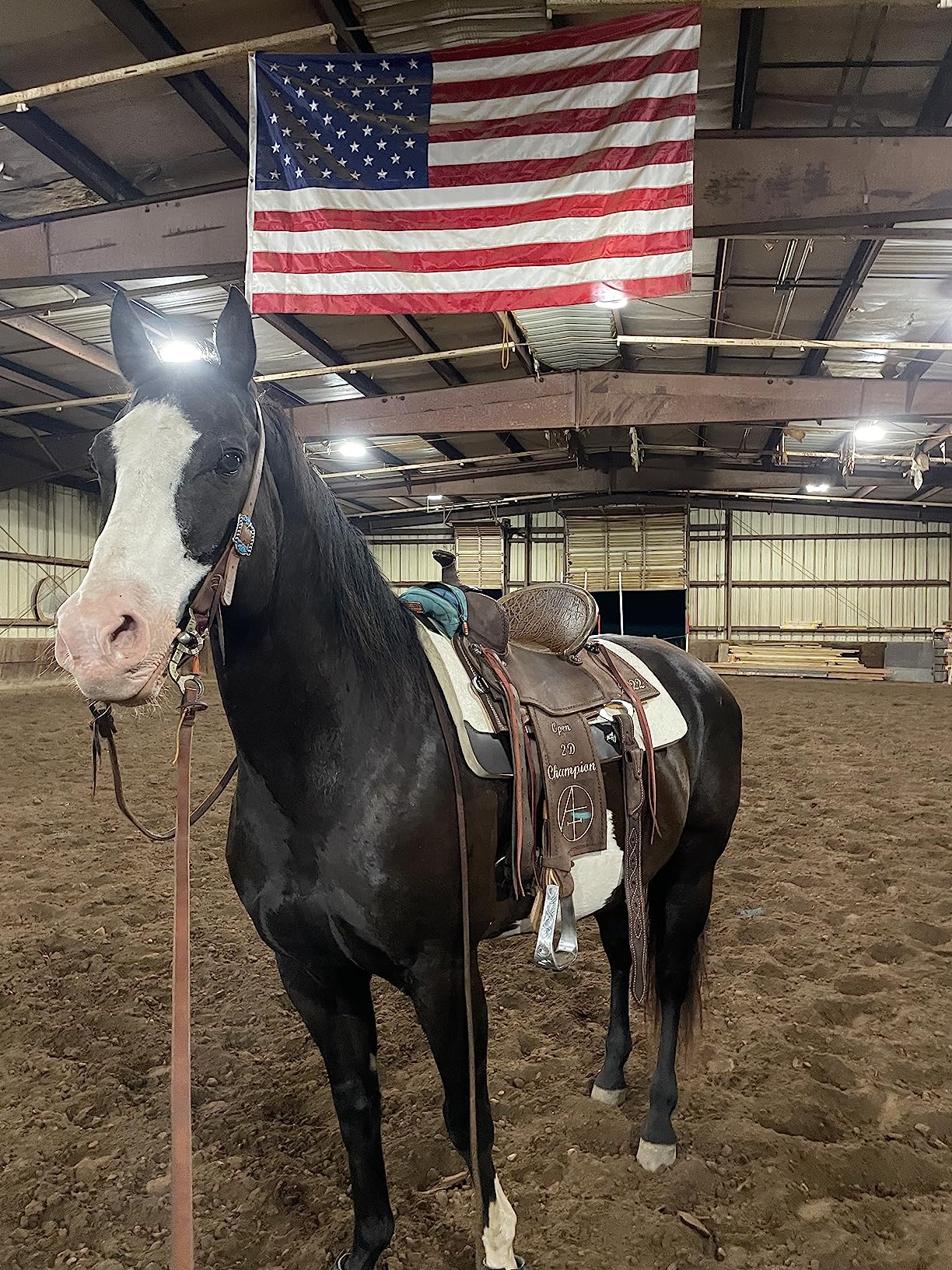 Professional's Choice 100% Steam-Pressed Wool Felt Saddle Pad | Western Moisture & Sweat Wicking Saddle Pad with Soft Felt Bottom customer photo 2