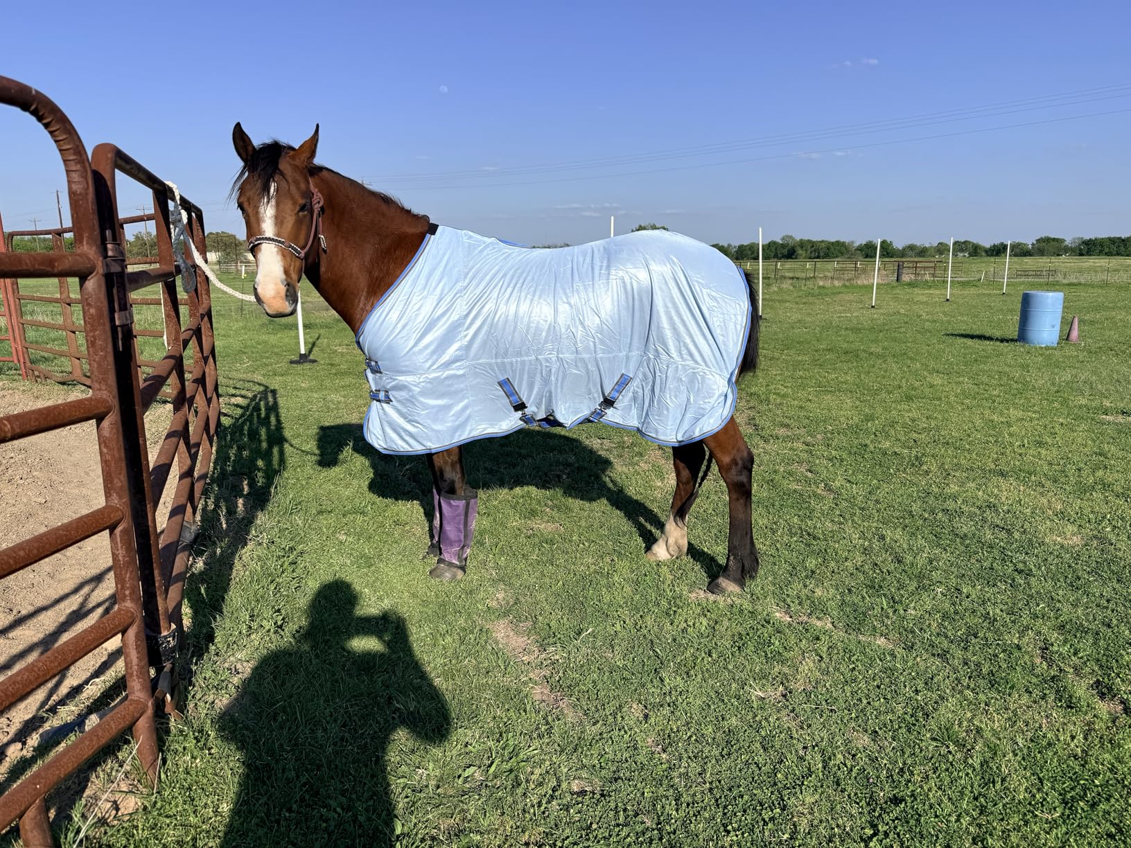 Comfy Mesh Horse Fly Sheet Equine Summer Sheets Stand Neck White 78 customer photo 1