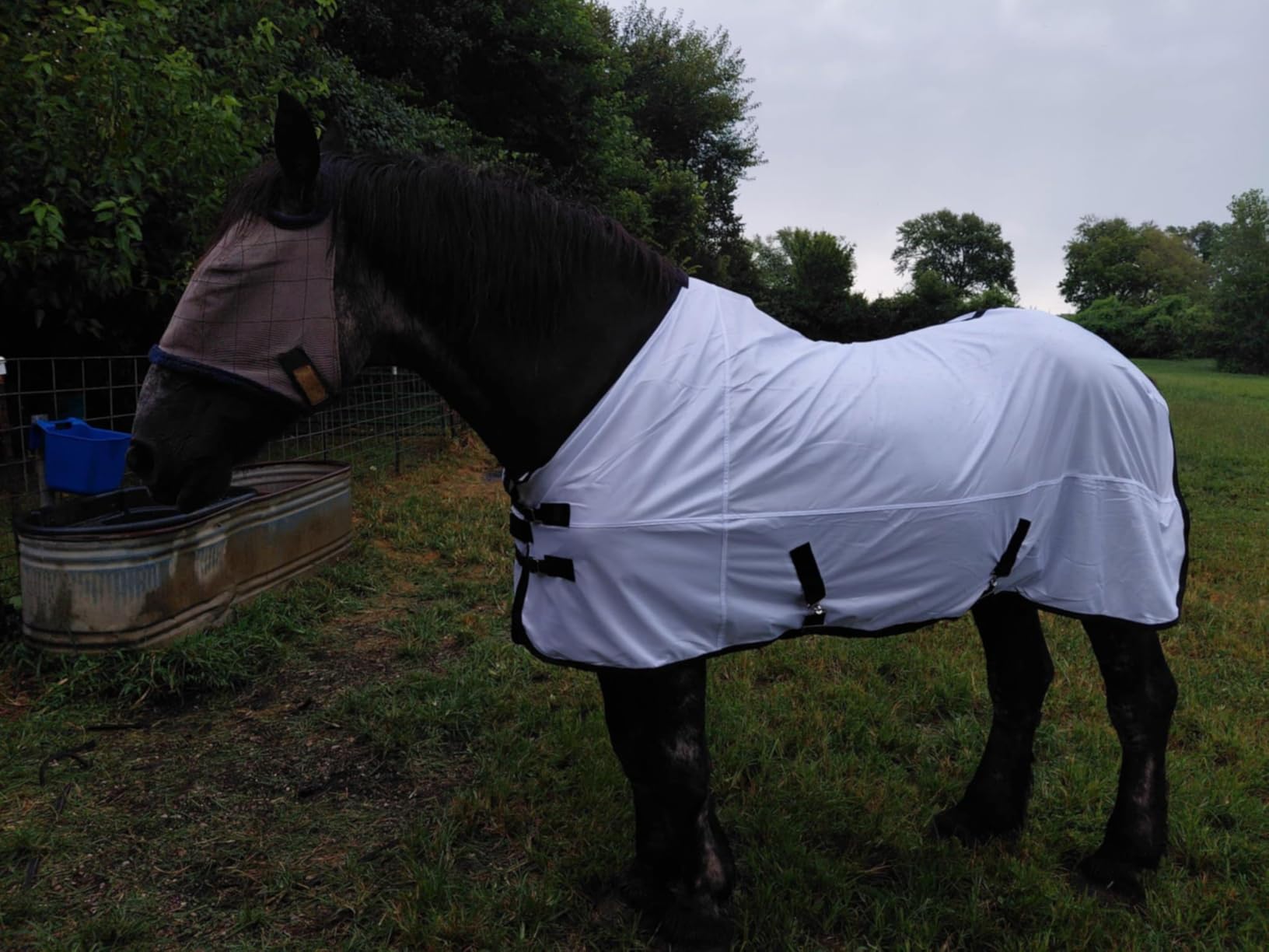 Comfy Mesh Horse Fly Sheet Equine Summer Sheets Stand Neck White 78 customer photo 2