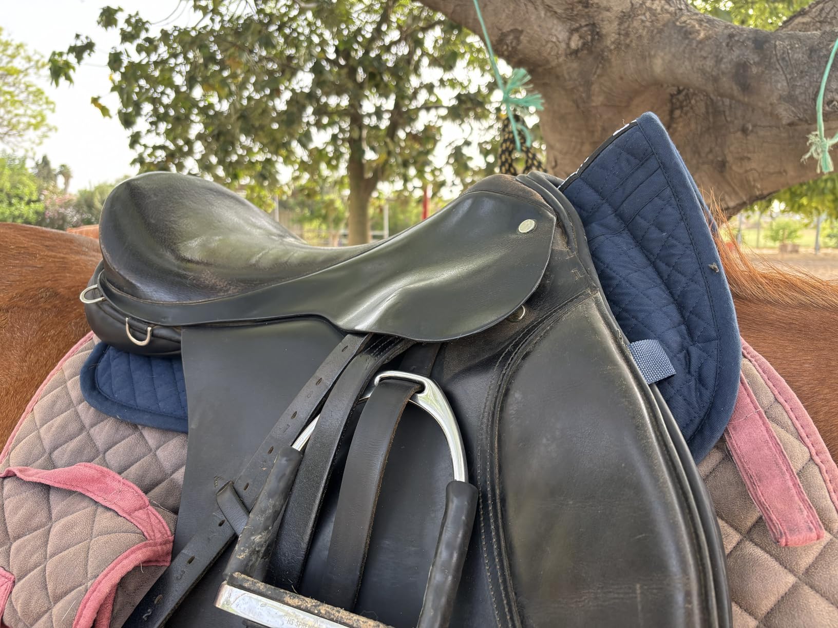 ECP Equine Comfort Products Adjustable Shock Absorbing Memory Foam Half Saddle Pad, Injury Prevention & Pressure Relief, Customizable Fit, Breathable for All Riding Styles customer photo 2