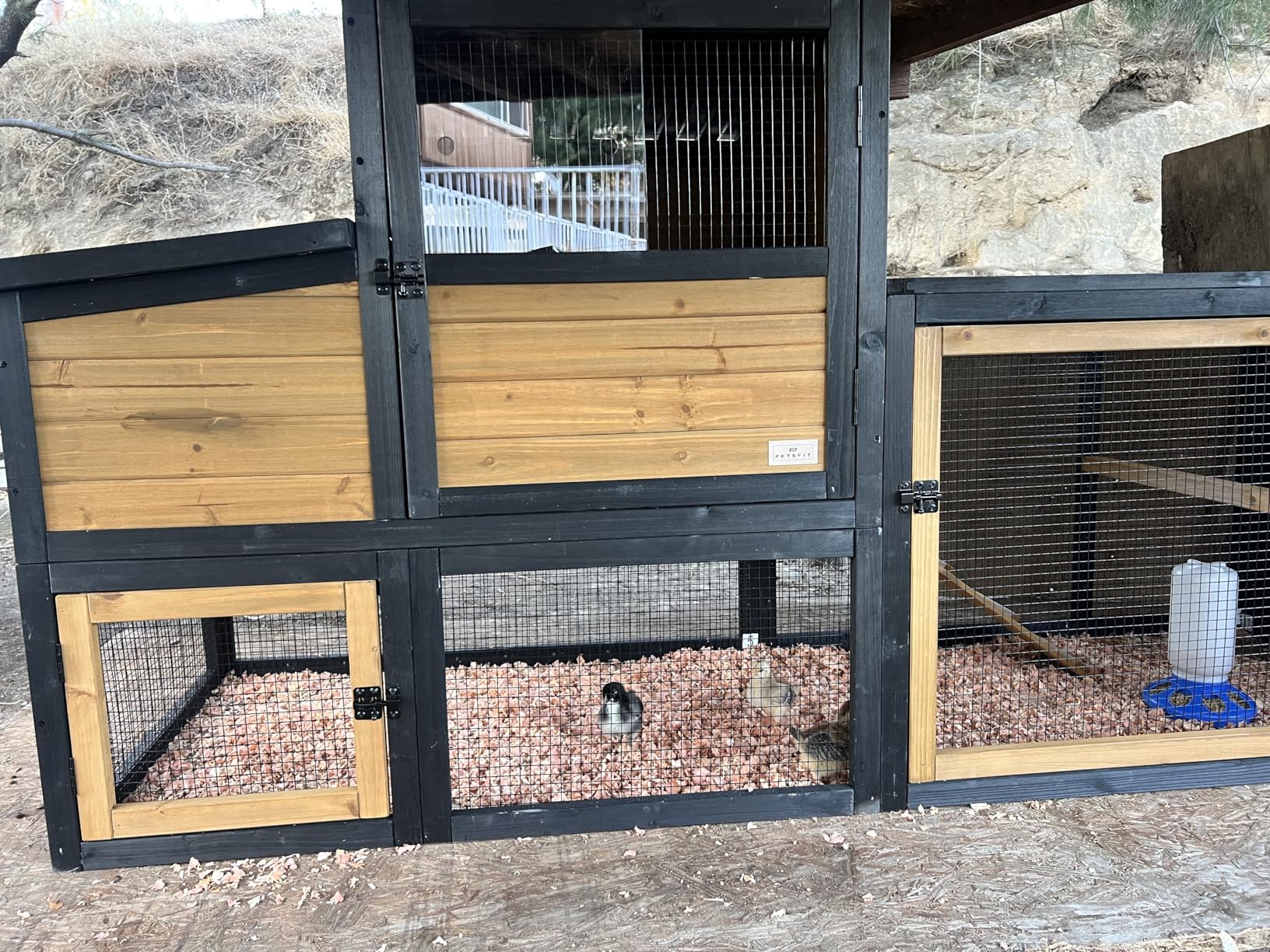 Petsfit Large Chicken Coop with Upgraded Perches, Wooden Outdoor Chicken Cage with Large Nesting Box, Weatherproof Open Asphalt Roof & Removable Bottom, Duck House, Rabbit Hutch customer photo 1