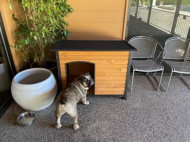 Aivituvin Insulated Dog House Outdoor & Indoor Wooden Dog Kennel for Winter with Raised Feet Weatherproof for Small & Medium & Large Dogs,Unique All-Around Iron Frame customer photo 1