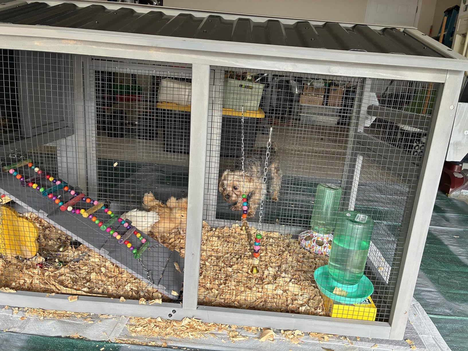 GUTINNEEN Chicken Coop Outdoor Hen House Duck Coop Rabbit Hutch Wooden Poultry Cage with 3 Perches, 2 Sides Large Nesting Boxes customer photo 1