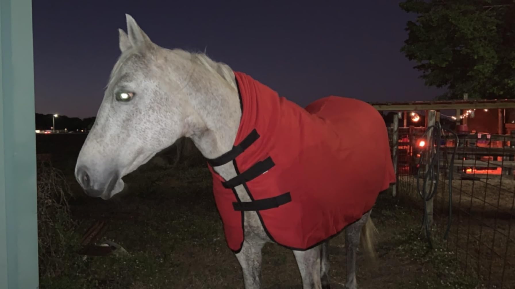 RESISTANCE Fleece Contour Horse Cooler — Anti-Sweat Moisture Wicking, 3 Quick-Grip Neck Closures, Tail Cord, Durable Hemmed Edges, Polar Soft Fleece, Post-Exercise Cool Down customer photo 1