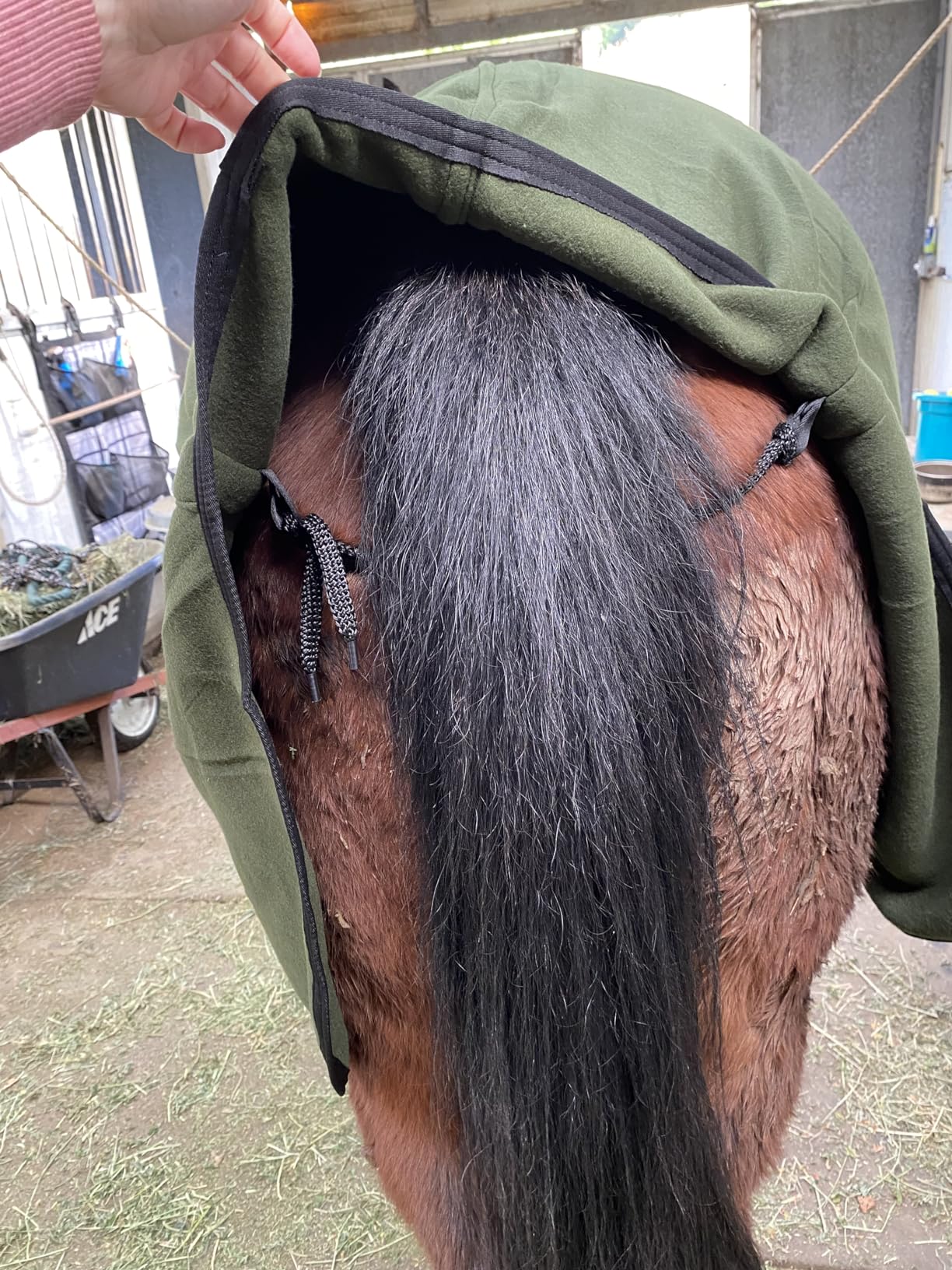 RESISTANCE Fleece Contour Horse Cooler — Anti-Sweat Moisture Wicking, 3 Quick-Grip Neck Closures, Tail Cord, Durable Hemmed Edges, Polar Soft Fleece, Post-Exercise Cool Down customer photo 2