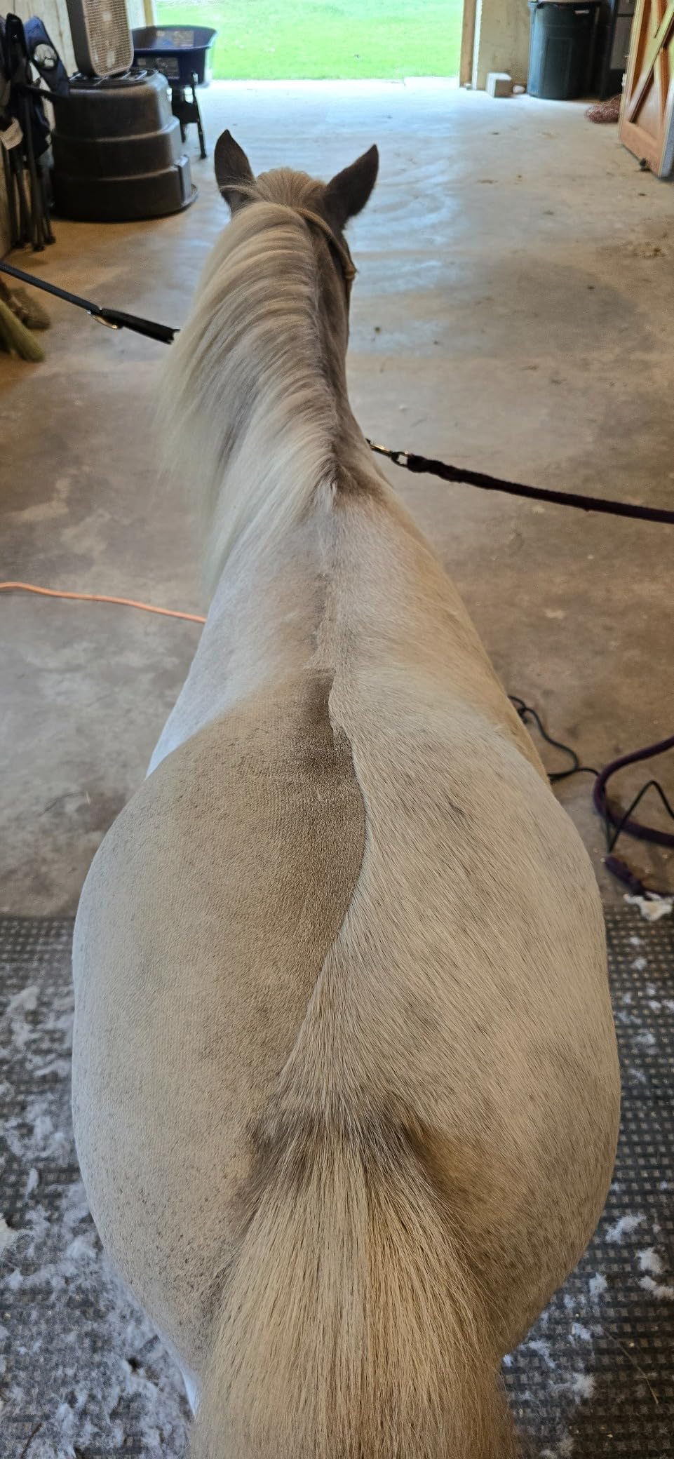 Andis 23330 AGC Super 2-Speed Horse Clipper, Includes T-84 Blade, Burgundy | Cool & quiet running, extra-wide detachable blade, professional horse & pet grooming clipper customer photo 2