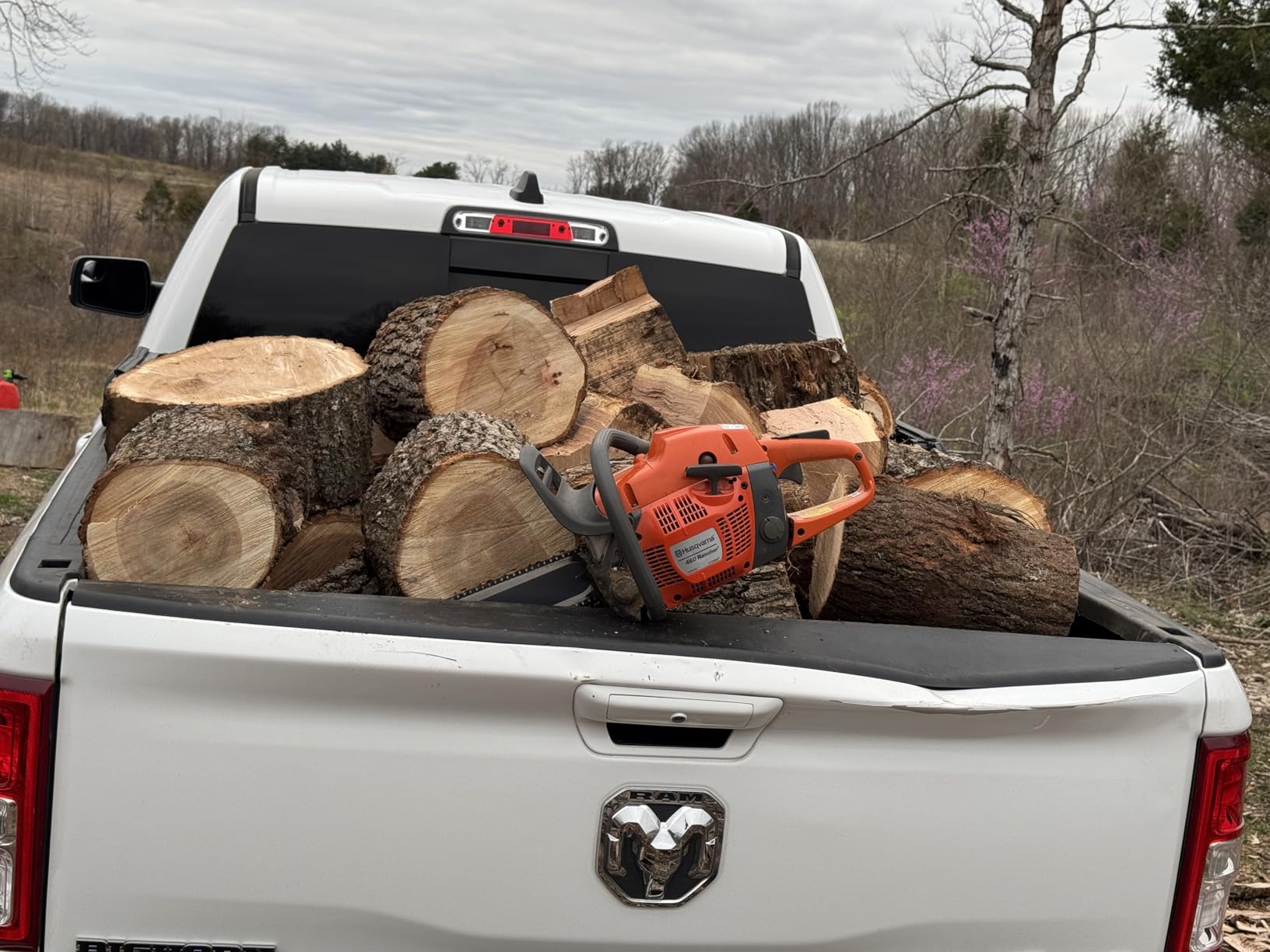 Husqvarna 460 Rancher Gas Powered Chainsaw, 24 Inch customer photo 2