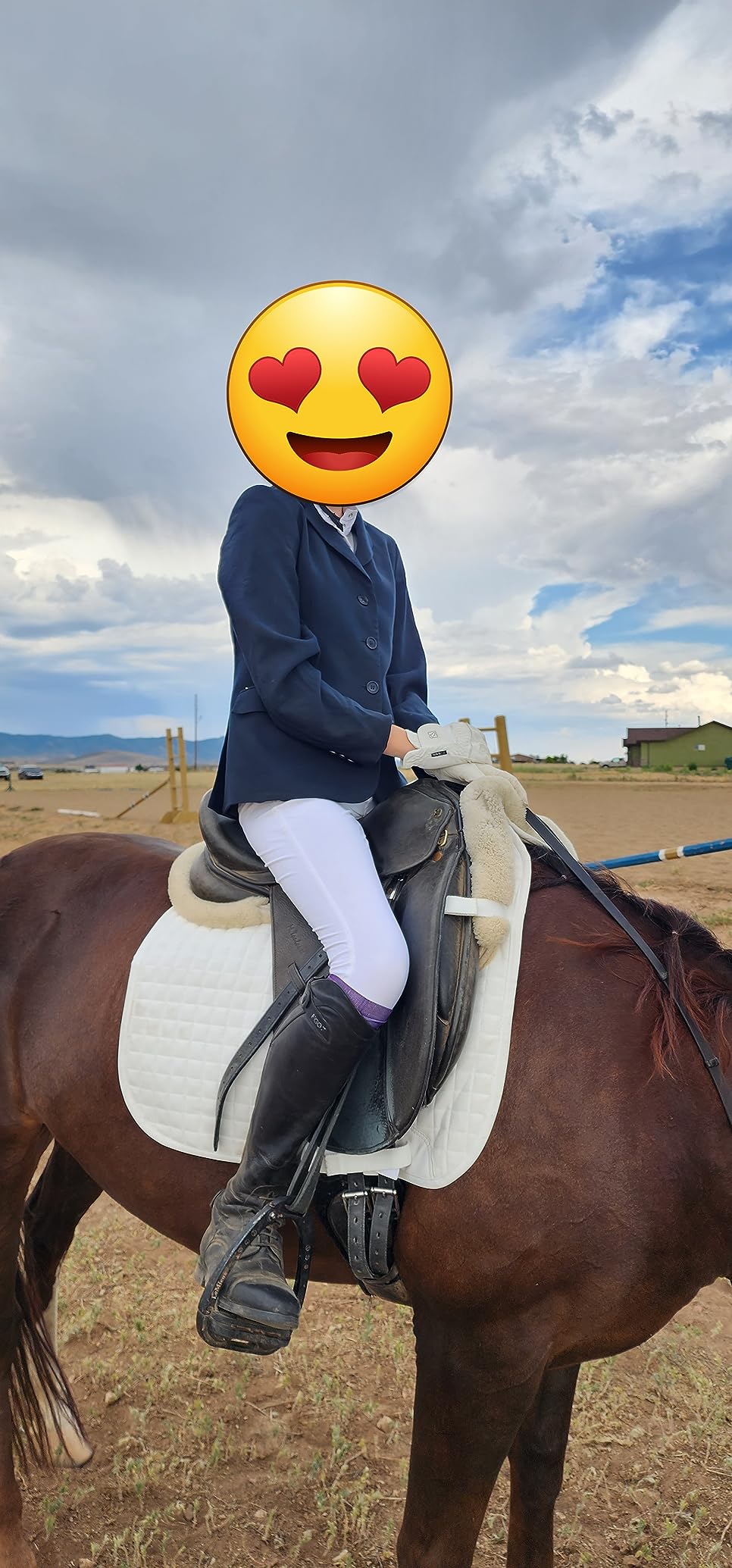 Harrison Howard Dressage Saddle Pad Suede Square English Saddle Pad for Horses Dressage Event customer photo 1