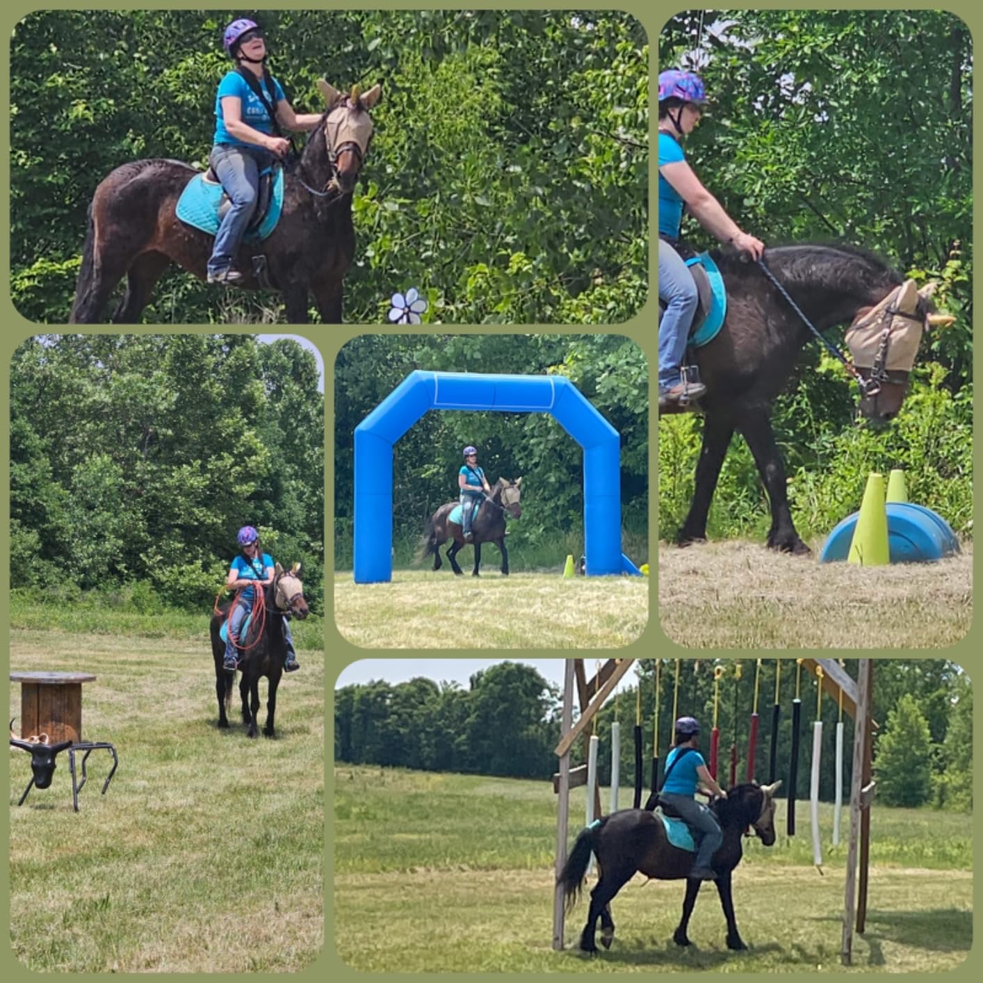 Troxel Terrain MIPS Cooling Horse Riding Helmet customer photo 1