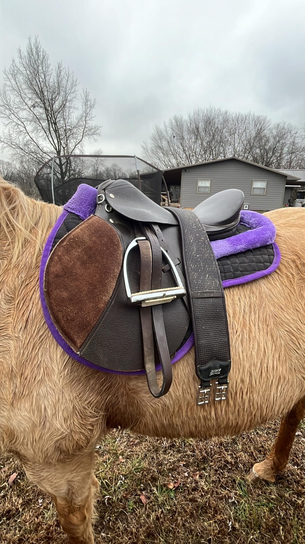T TEKE Contoured Chafeless Girth for Horses customer photo 2