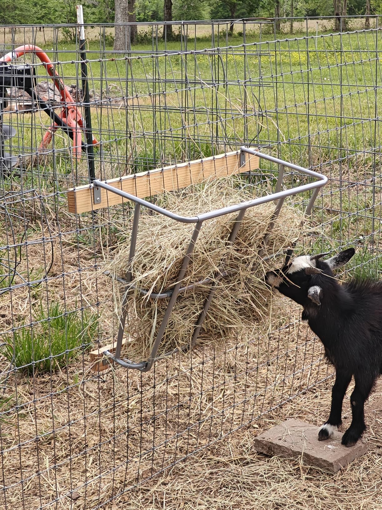 Hay Feeder Goat, 21 Gallon Multiple Sided Goat Hay Rack, Heavy Duty Iron 2 in 1 Hay Rack for Sheep, Horses, with Detachable Grain Tray, Effortless Installation in Farm, Yield customer photo 1