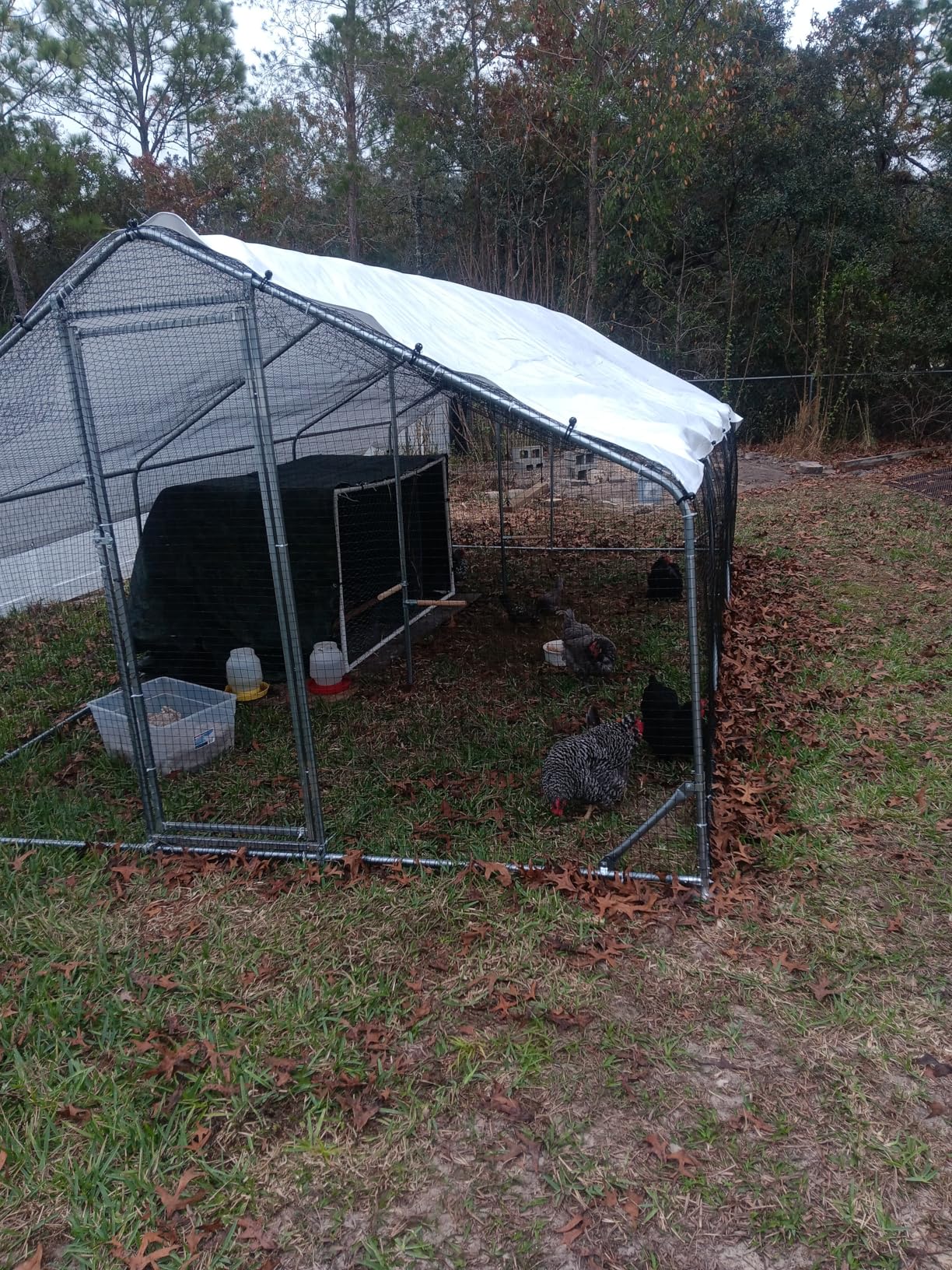 CHIKENCOOP 19.5x9.8x6.5ft Metal Chicken Coop, 3-Room Run, Hardware Cloth | Three-room walk-in run with hardware cloth, full-top waterproof UV-resistant cover, 3-mode solar light, and center perches customer photo 1