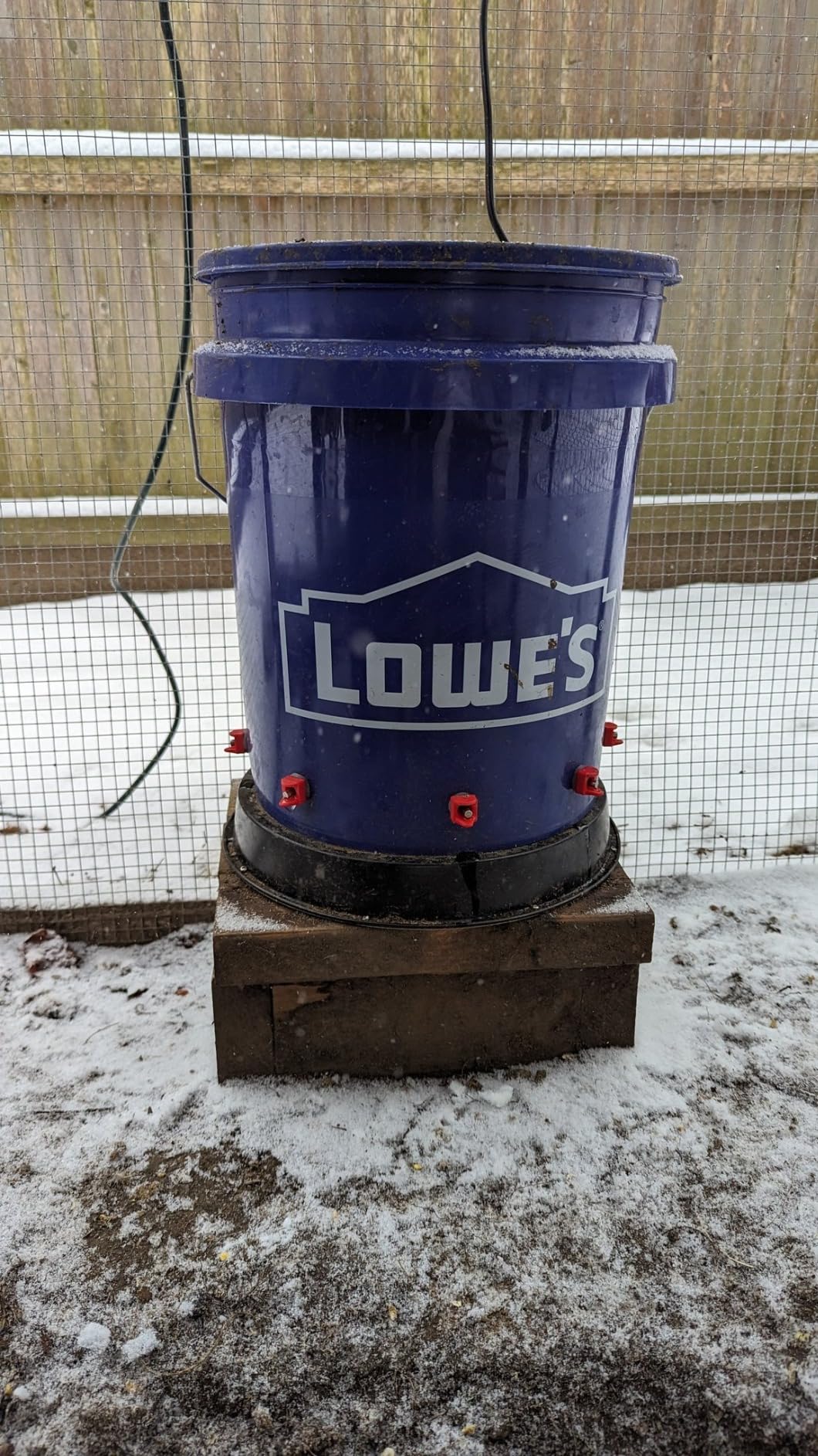 Eggluuz Chicken Water Heater for Winter, 110 Watt Chicken Drinker Heated Base 11 in Chicken Waterer Heater with Thermostat customer photo 2