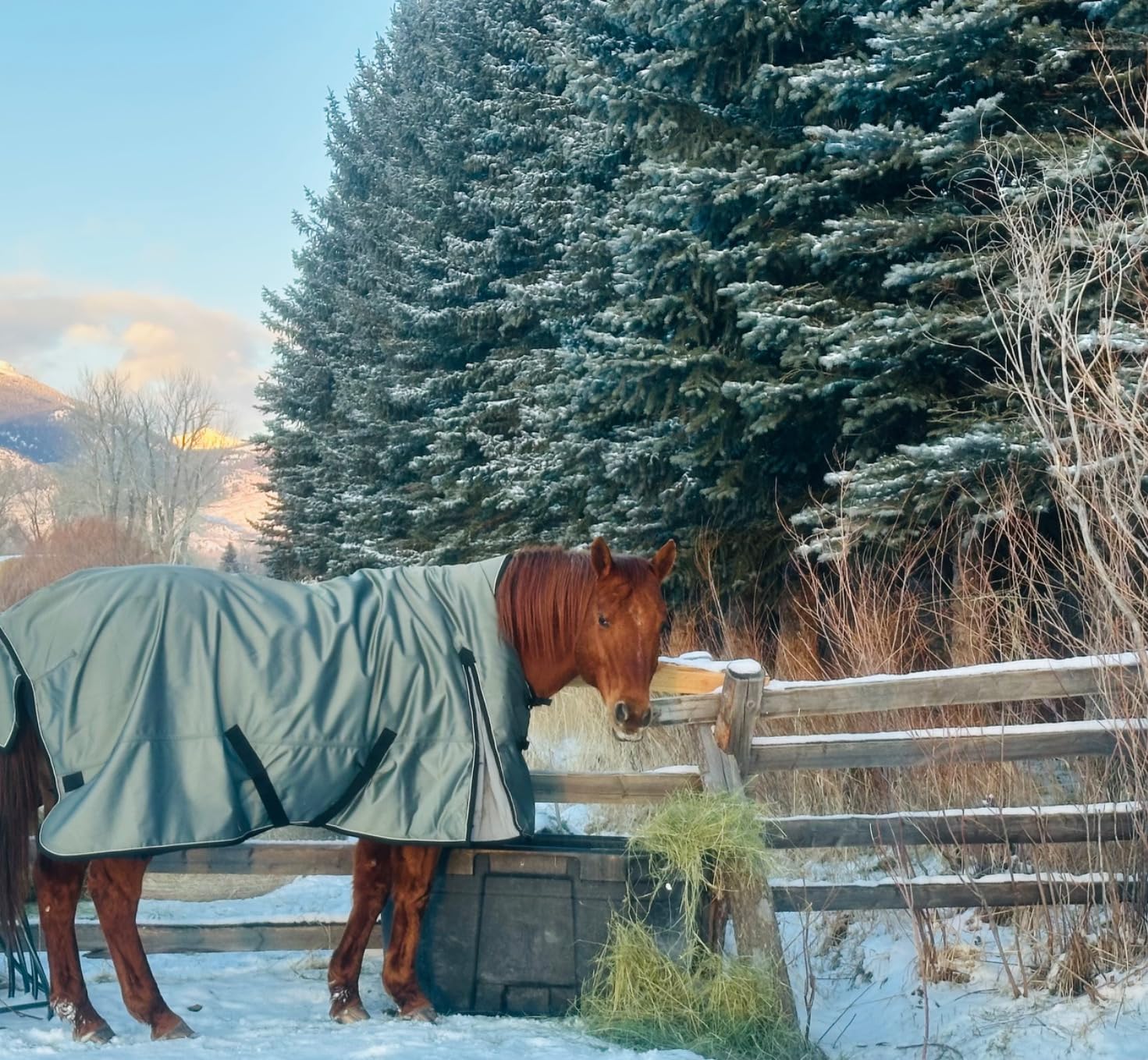 Country Pride Extreme Vortex High Neck Heavyweight Turnout Blanket, 1680D Ripstop Nylon with Dupont Teflon, 300g Insulation, Waterproof Breathable, Extended Shoulder Gusset, Adjustable Straps (78) customer photo 1