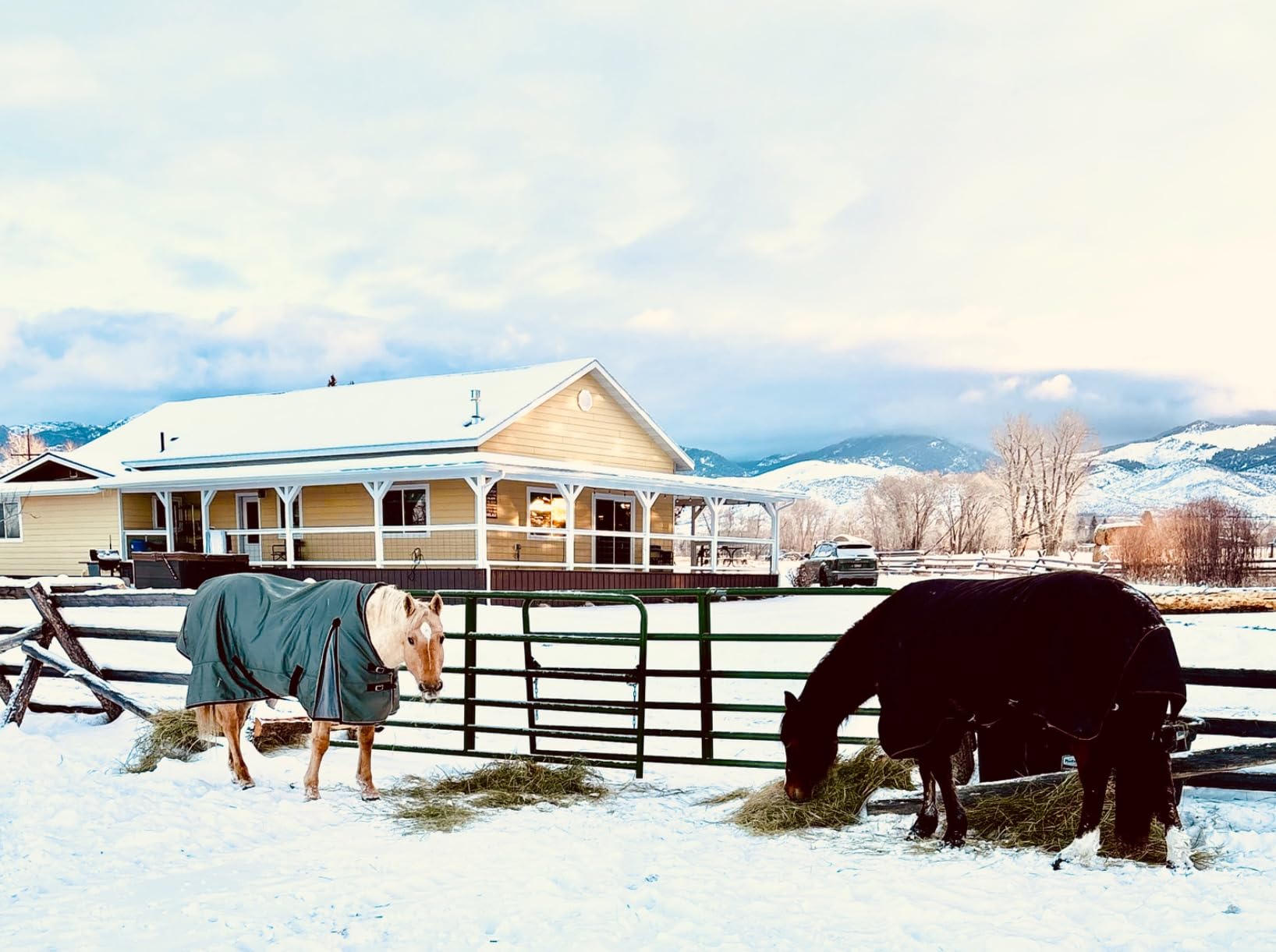 Country Pride Extreme Vortex High Neck Heavyweight Turnout Blanket, 1680D Ripstop Nylon with Dupont Teflon, 300g Insulation, Waterproof Breathable, Extended Shoulder Gusset, Adjustable Straps (78) customer photo 2