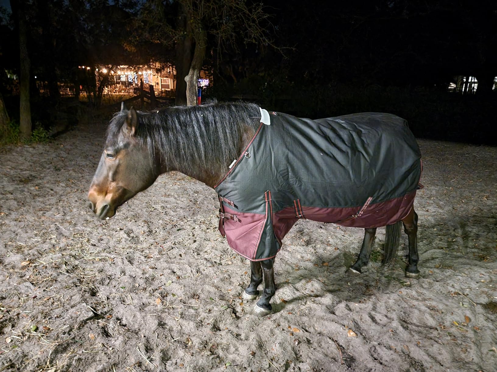 LEAFOREST 1200D Horse Blanket Waterproof Breathable Turnout (no Filling) Standard Neck Horse Sheet Pink Grey 69IN customer photo 1
