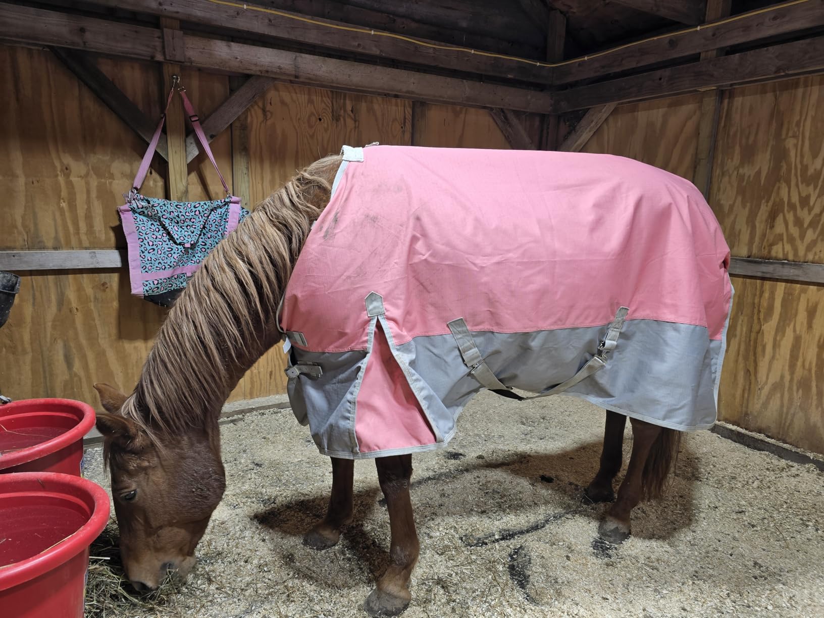 LEAFOREST 1200 Denier Waterproof Mini Shetland Rug Pony Rug Foal Rug Turnout Rug (no Filling) Pink Grey 45IN customer photo 2