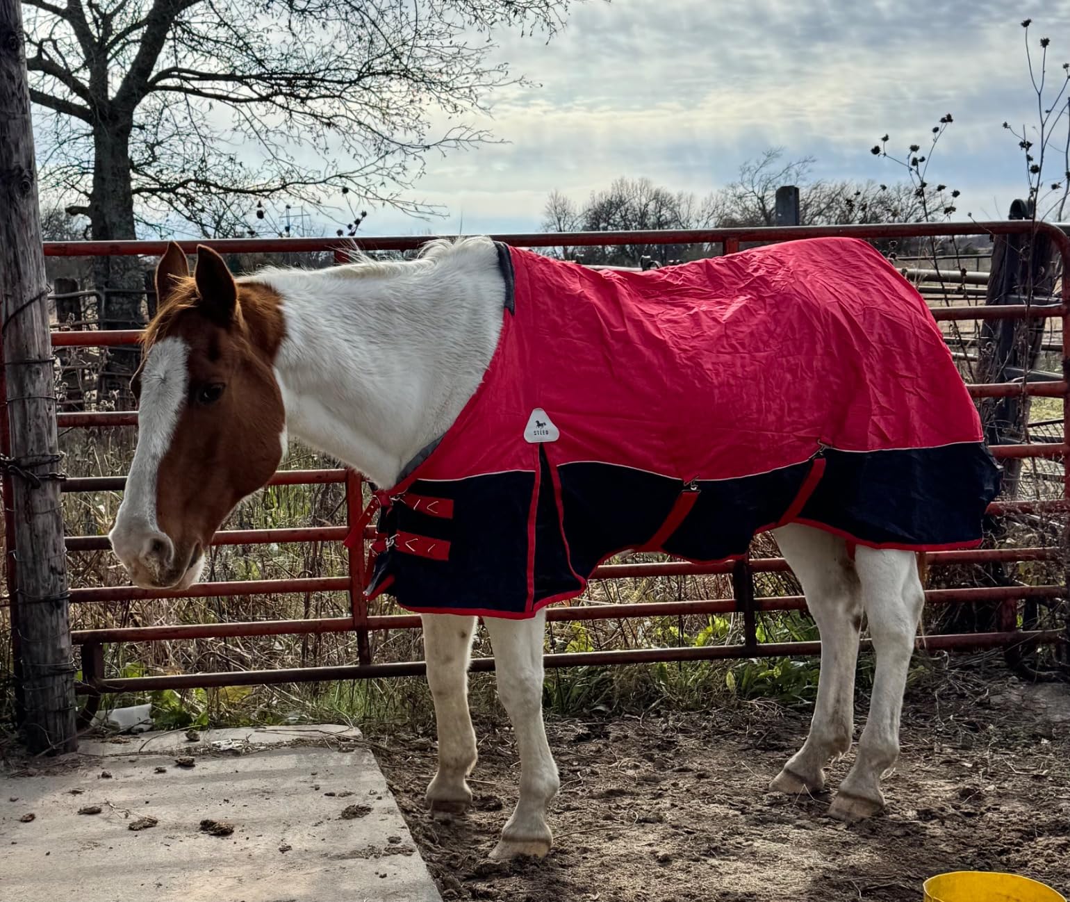 1200D Winter Waterproof Horse Trunout Blanket, 280g Warm Cotton Filling Liner with Turnout Neck Cover Detachable, Medium Weight Waterproof Horse Blanket (Back Length 72 inch / 135 CM) customer photo 1