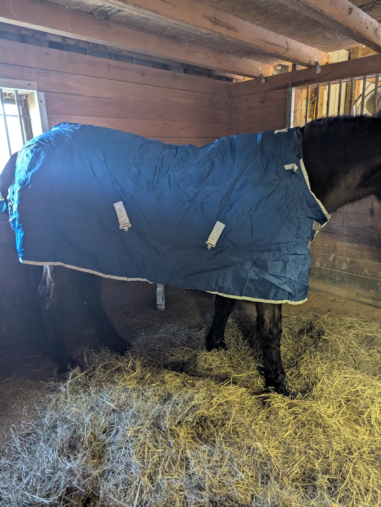 1200D Winter Waterproof Horse Trunout Blanket, 280g Warm Cotton Filling Liner with Turnout Neck Cover Detachable, Medium Weight Waterproof Horse Blanket (Back Length 72 inch / 135 CM) customer photo 2