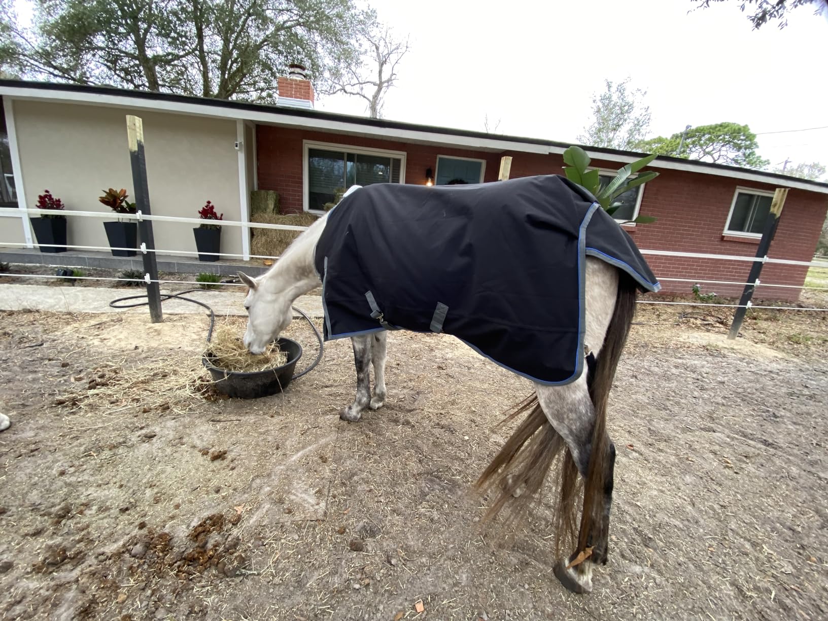 T TEKE Ultimate Turnout Sheet for Horses, 1050D Ballistic Nylon Outer, No Filling customer photo 2