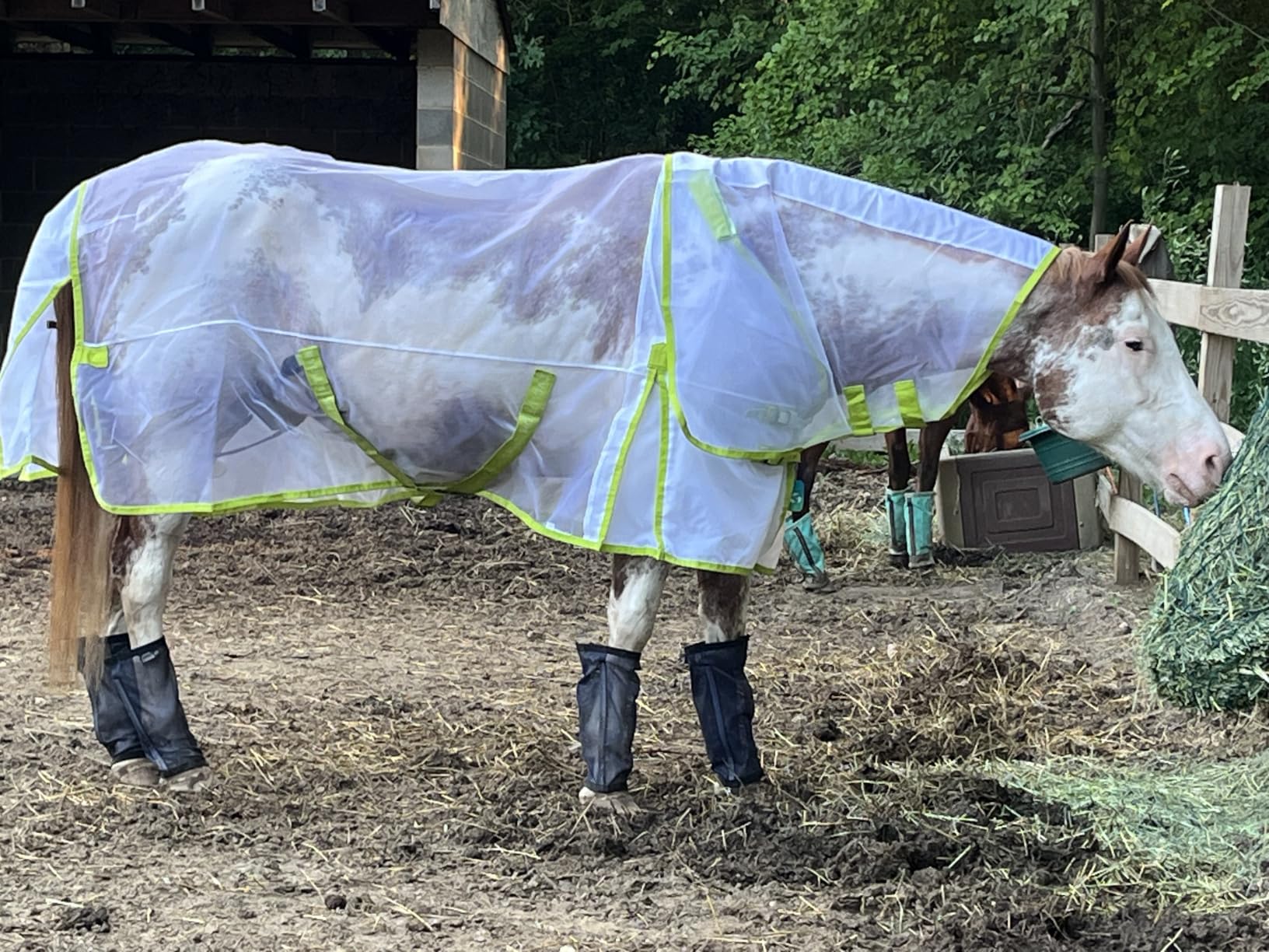 Derby House Recycled Cool Lite Detach-a-Neck Fly Sheet customer photo 1
