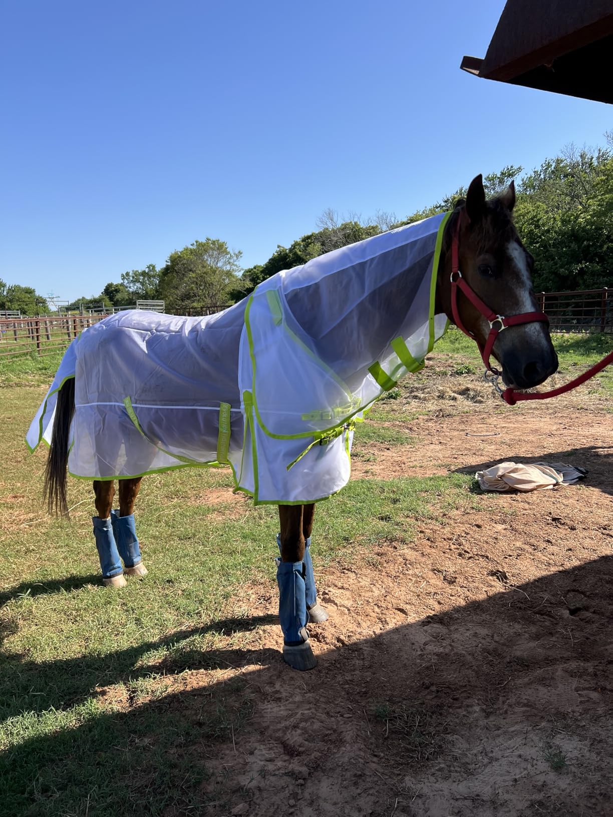 Derby House Recycled Cool Lite Detach-a-Neck Fly Sheet customer photo 2