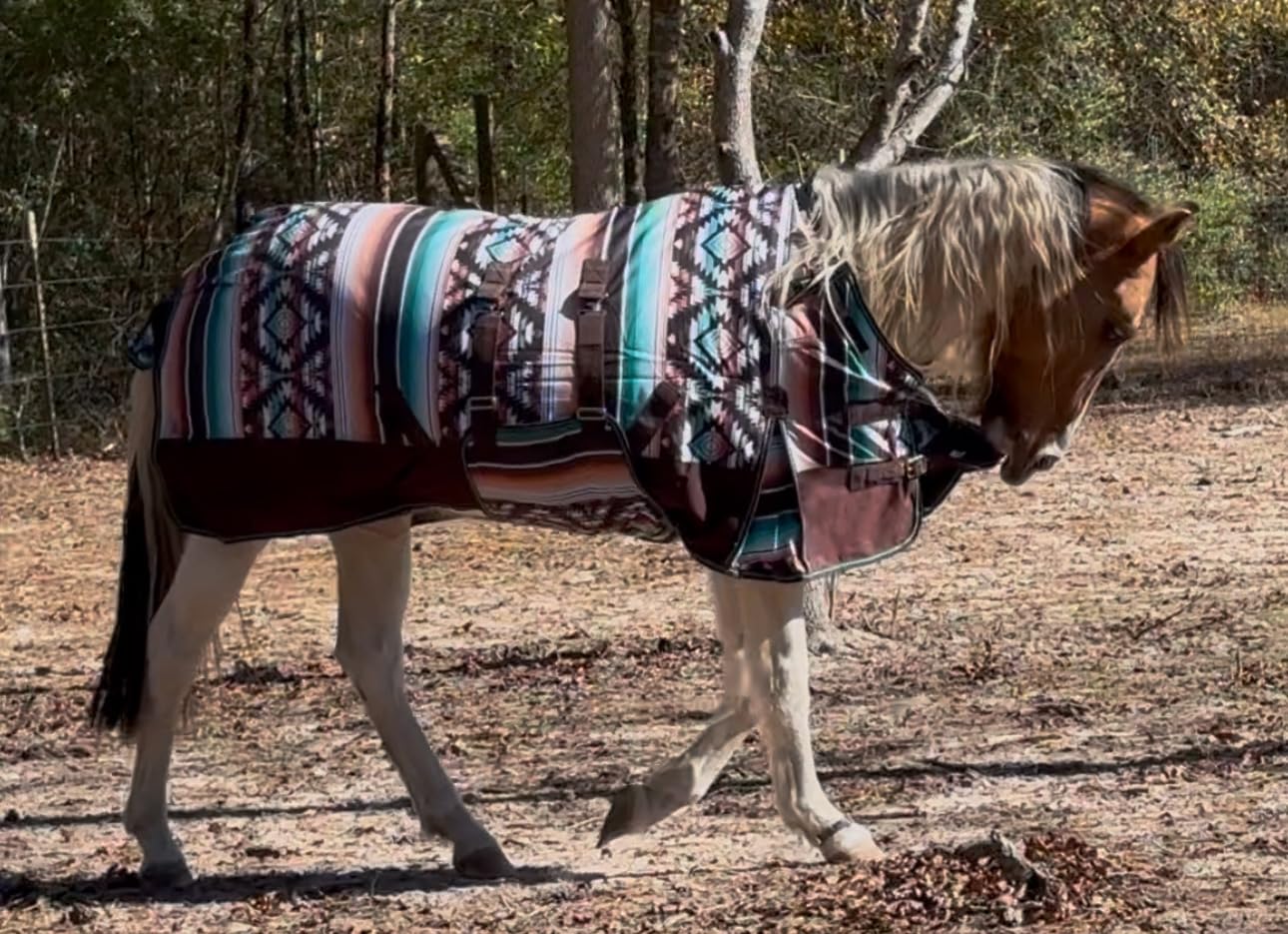 Challenger 1200D Horse Turnout Waterproof Heavy-Weight Winter Blanket Serape 5B107 customer photo 1