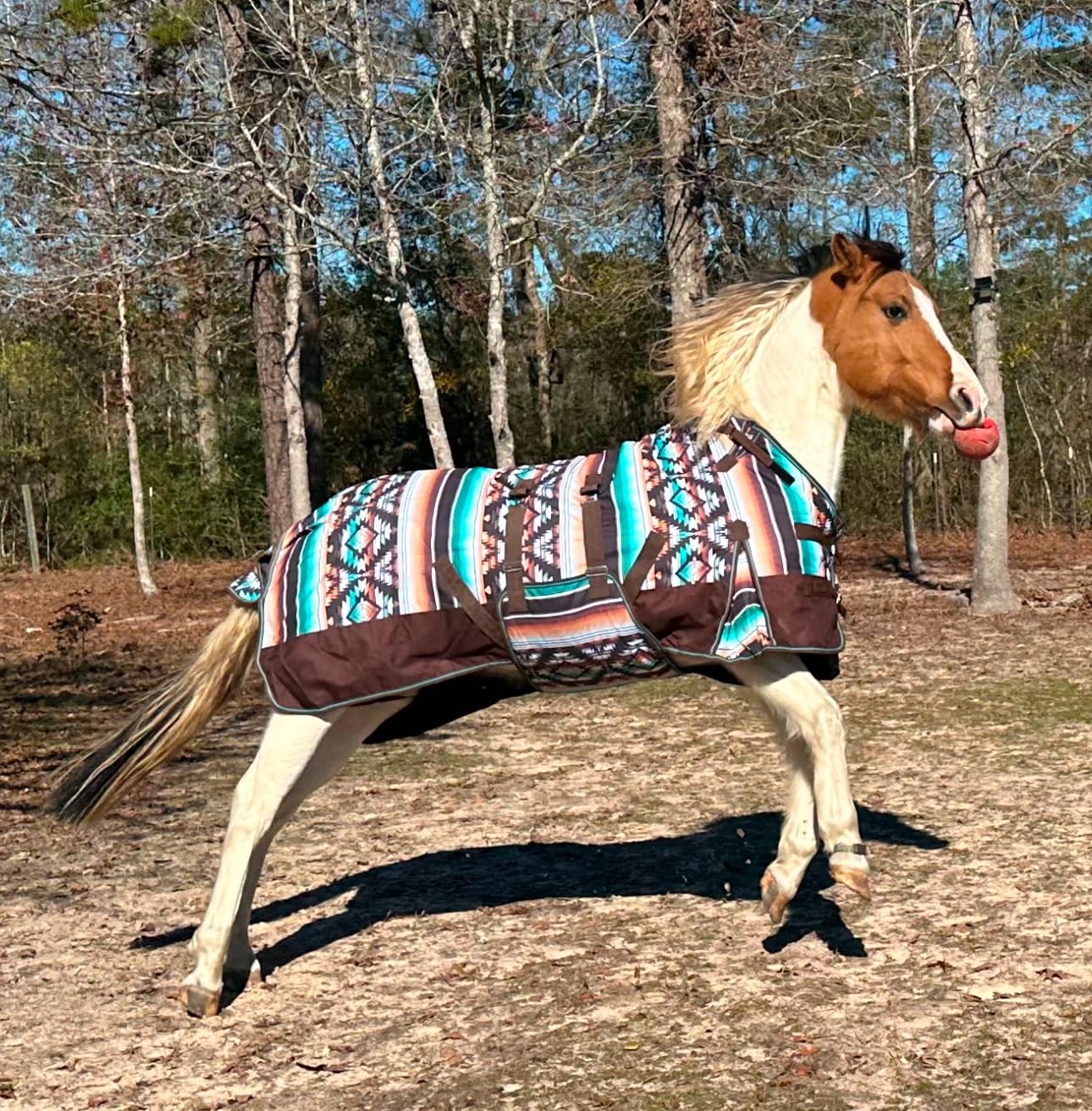 Challenger 1200D Horse Turnout Waterproof Heavy-Weight Winter Blanket Serape 5B107 customer photo 2