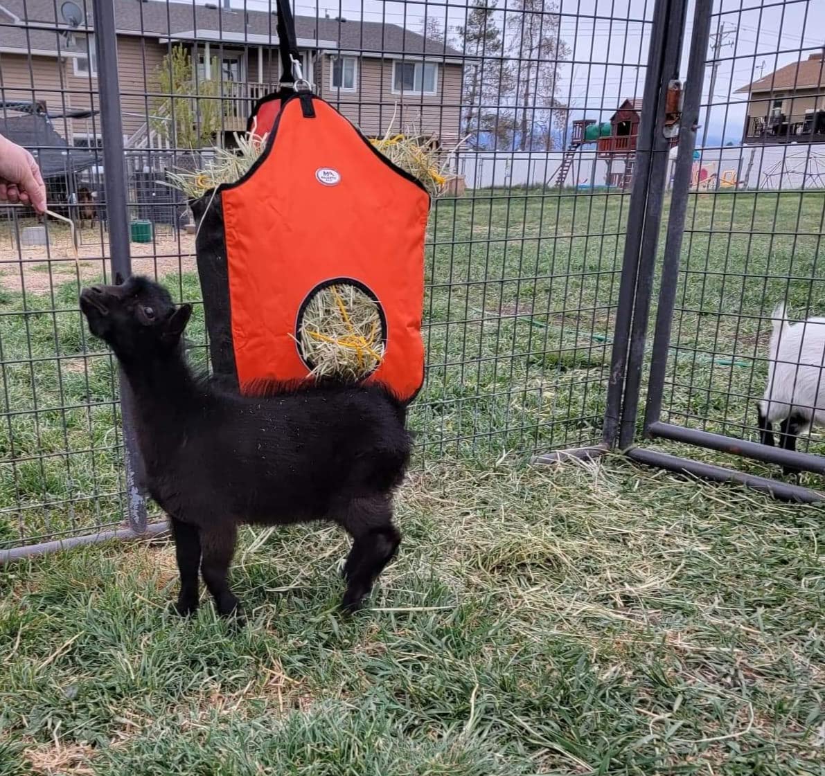 Majestic Ally 1200 D Hay Feeder Tote Bag for Horses, Sheep with Reflective Trim- Reduces Waste - Comes with 36