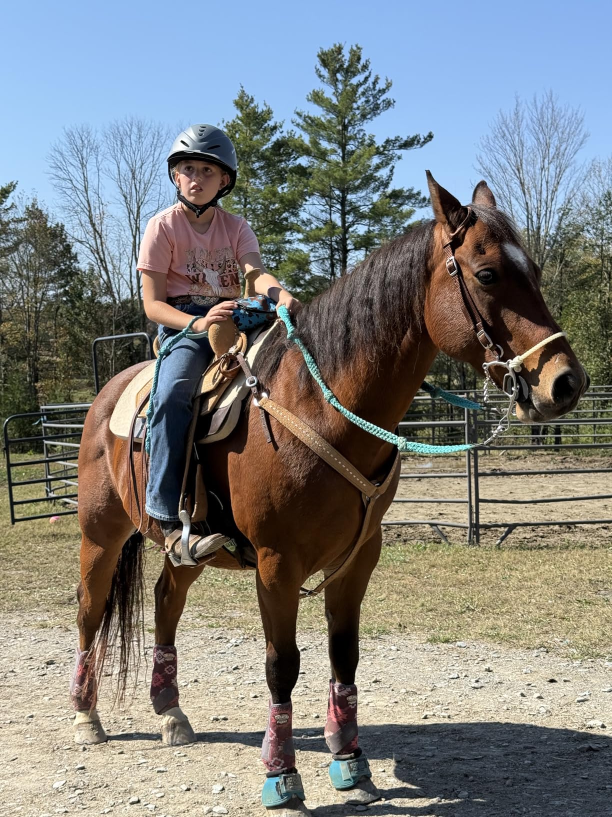 OutdoorMaster Equestrian Helmet, Breathable Horse Riding Helmet with Visor | ASTM F1163-15 certified, ABS + EPS, Adjustable dial, Removable washable liner, Fits adult & youth customer photo 2