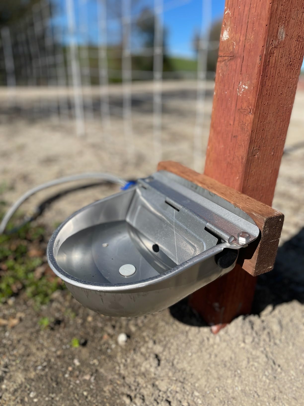 Automatic Livestock Waterer, 304 Stainless Steel Auto Fill Drinking Bowl with Float Valve, Drainage Hole & Protective Baffle, Wall Mount or Floor Stand, for Dogs, Chickens, Horses, Goats, Pigs customer photo 2