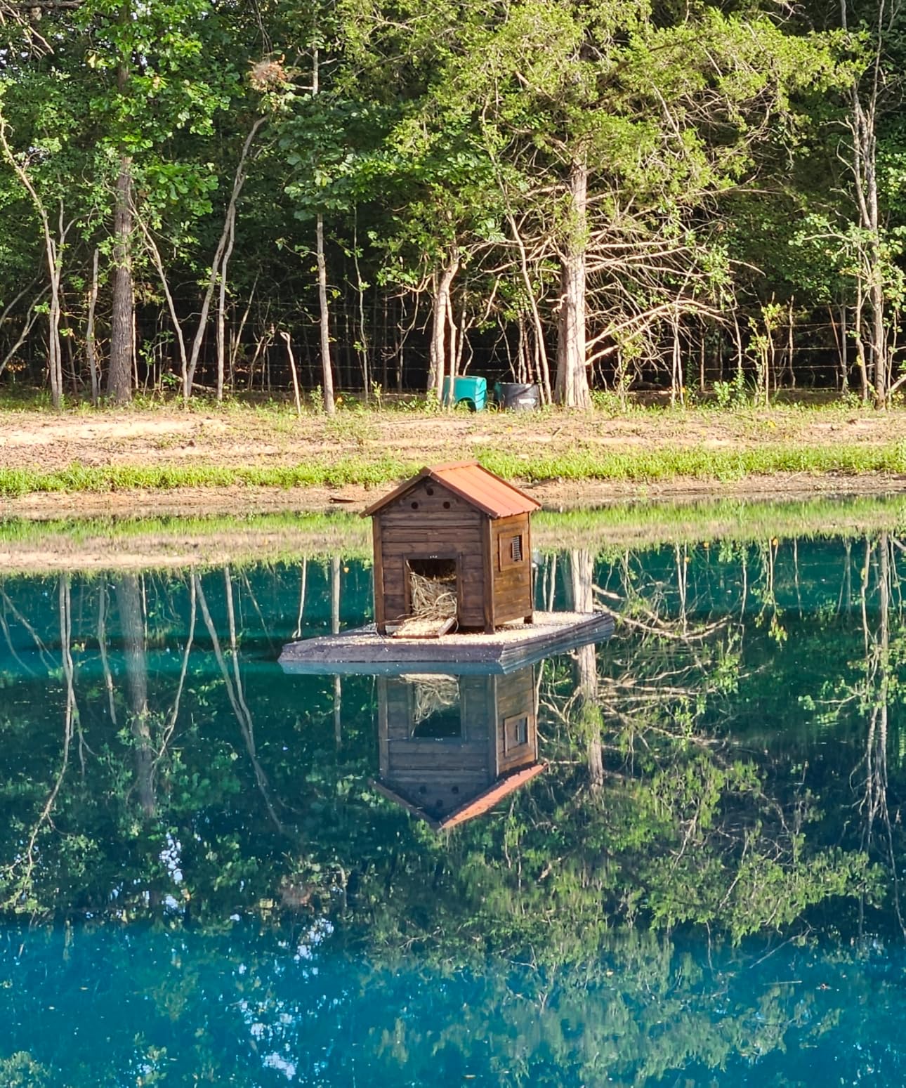 PawHut Duck Coop, Wooden Duck House, Outdoor Small Animal House with Openable Roof, Double Doors, Removable Base for 1-3 Ducks, Chickens, Rabbits, Cats, Natural Wood customer photo 1