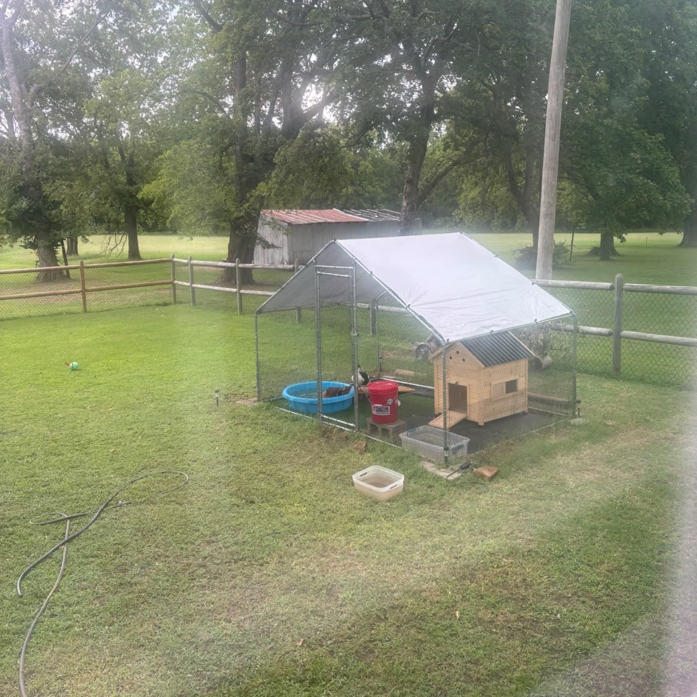 PawHut Duck Coop, Wooden Duck House, Outdoor Small Animal House with Openable Roof, Double Doors, Removable Base for 1-3 Ducks, Chickens, Rabbits, Cats, Natural Wood customer photo 2