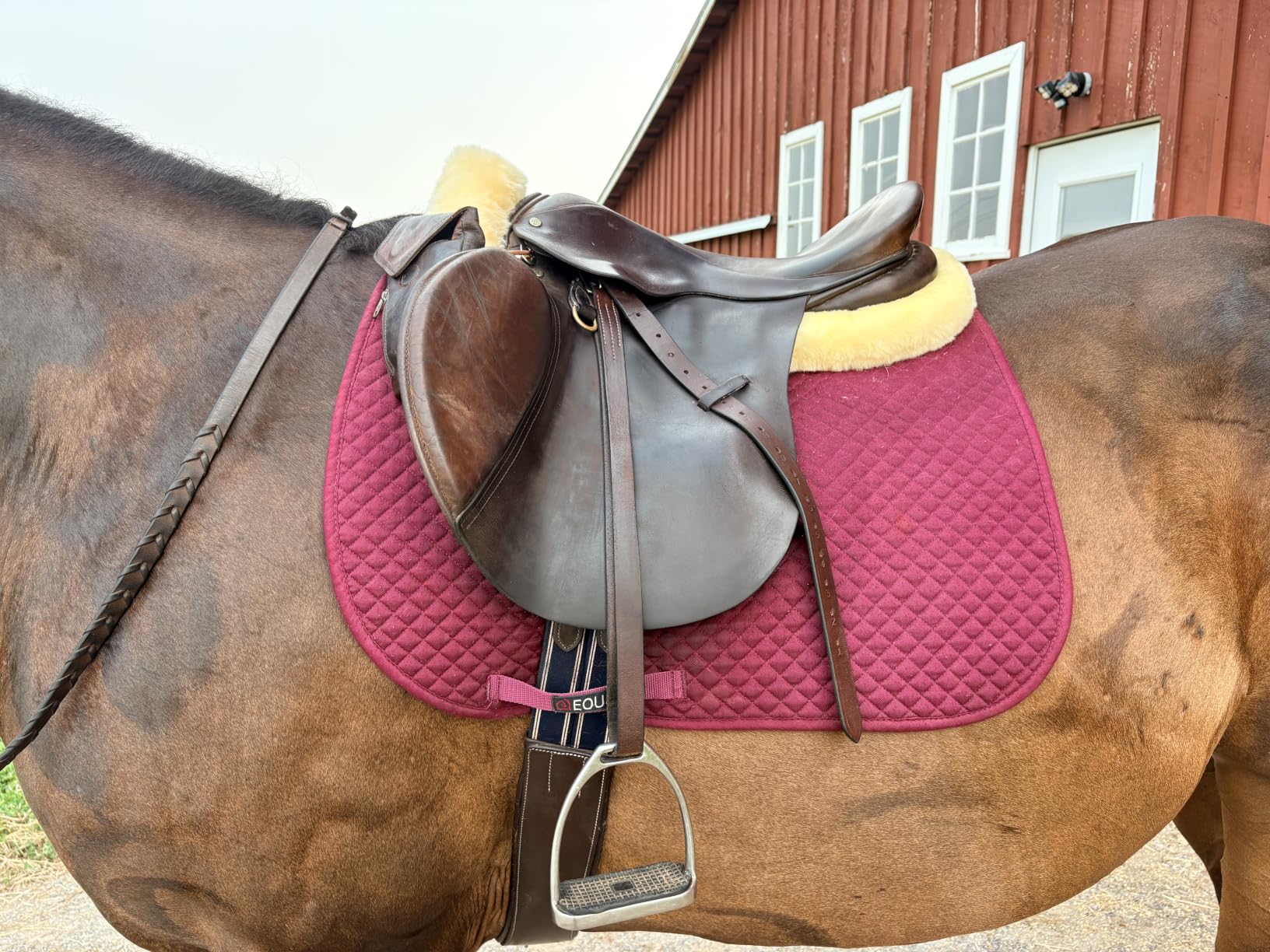 Woolous Sheepskin Half Pad for English Saddle, Wool Fleece Horse Saddle Pad | Genuine sheepskin wool fleece cushions horse back, absorbs shock, relieves pressure and helps keep saddle fit secure in use. customer photo 1