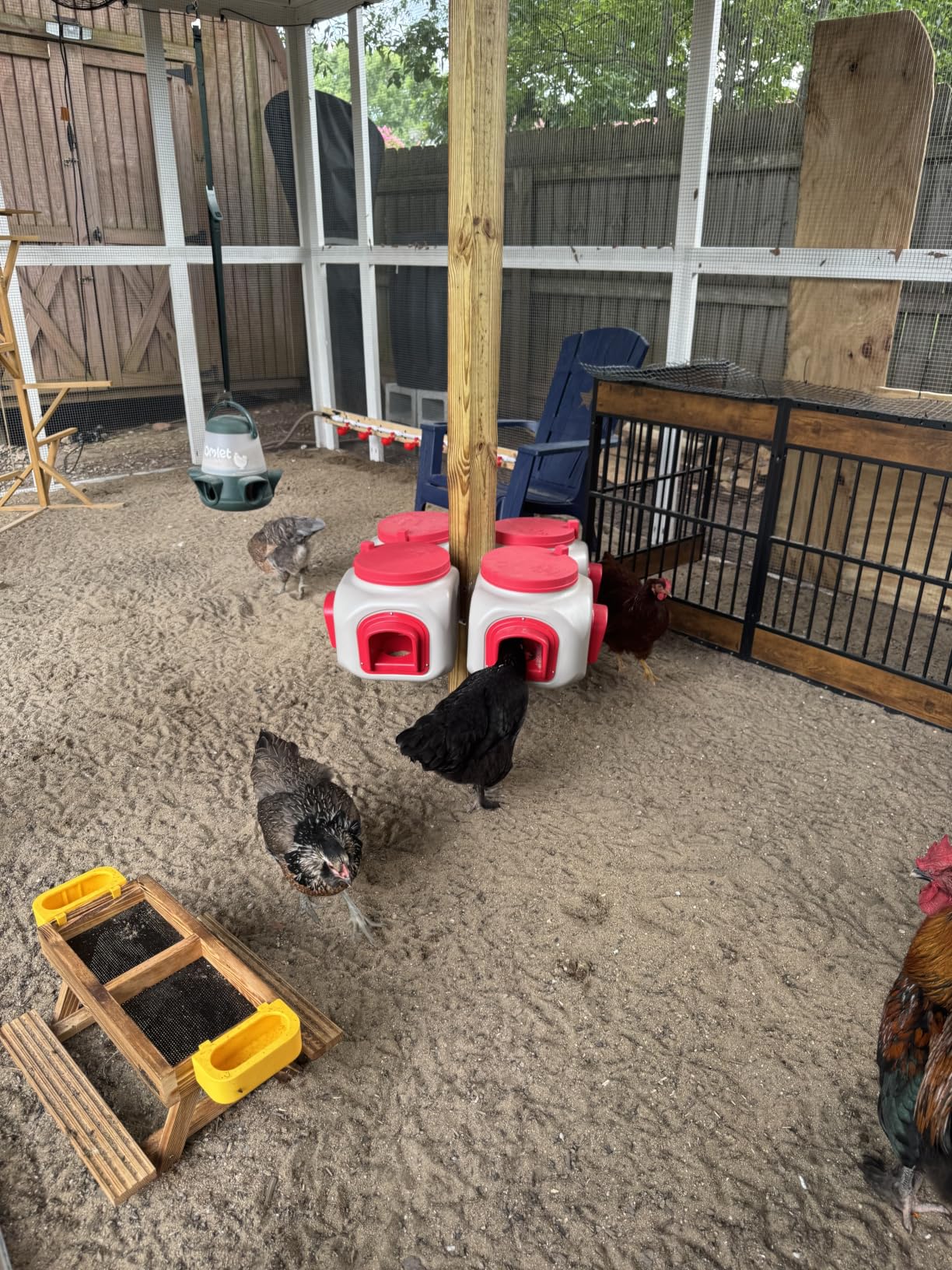 OverEZ Compact Chicken Feeder - Holds 25 Pounds of Feed - Inside or Outside Hen Coop - Large Gravity Fed Automatic Poultry Food Dispenser - No Waste Rainproof Design customer photo 1