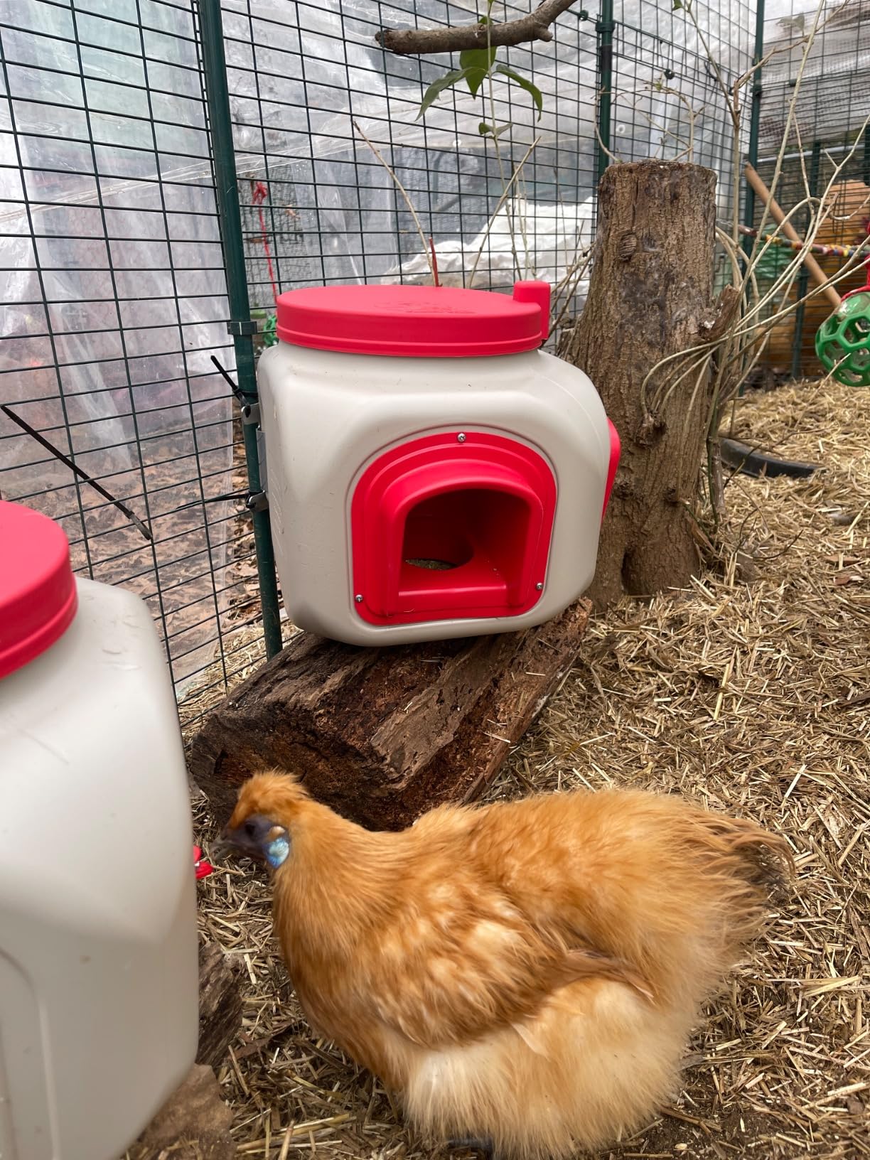 OverEZ Compact Chicken Feeder - Holds 25 Pounds of Feed - Inside or Outside Hen Coop - Large Gravity Fed Automatic Poultry Food Dispenser - No Waste Rainproof Design customer photo 2