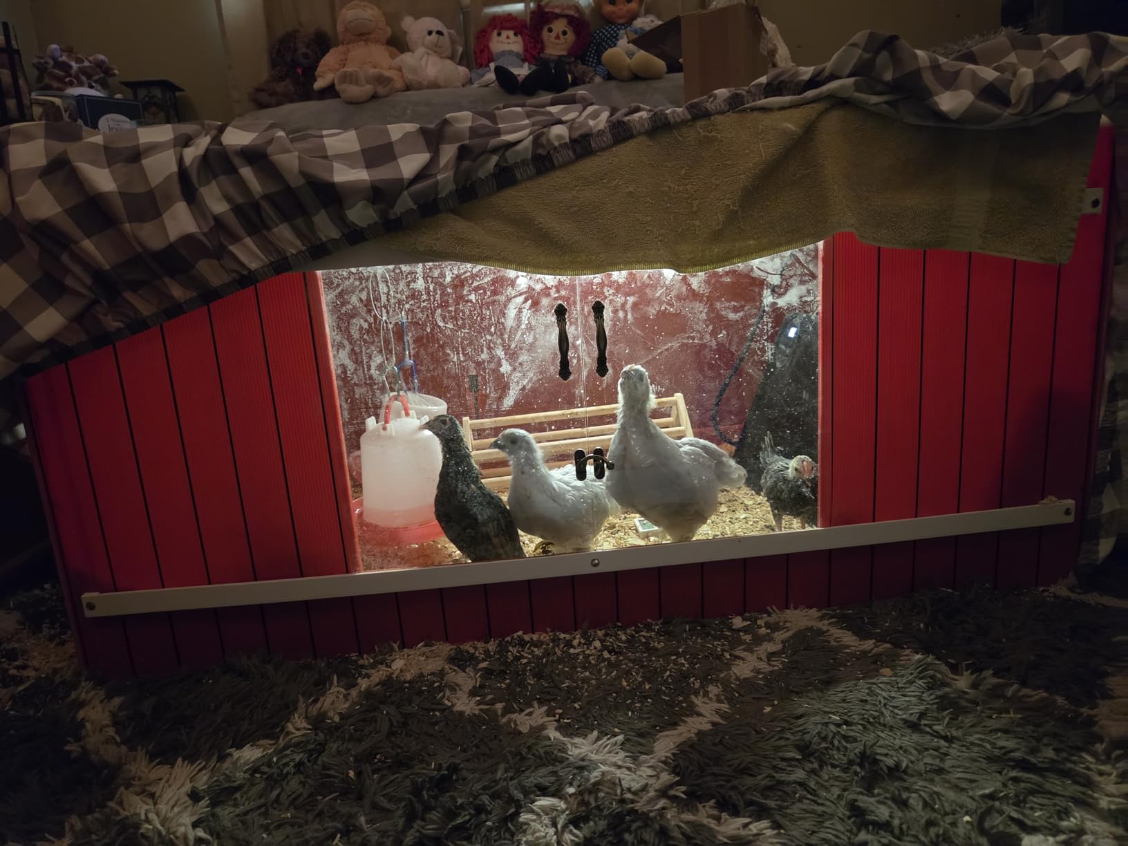 RentACoop Big Red Barn Chick Brooder | Durable, Lightweight, Easy-Clean, Multipurpose | with Absorbent Hatchling Liners, Jute Liners, LED Light, Security Latch customer photo 1