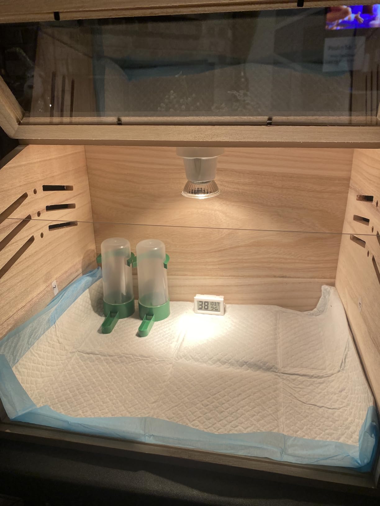 Chicken Brooder Box for Chicks & Quail with 3 Absorbent Pads, Feeder and Waterer - Adjustable Temperature Control Brooding Box for Small Chicken Coop & Quail Cage (15.7x12x12 Inches) customer photo 2