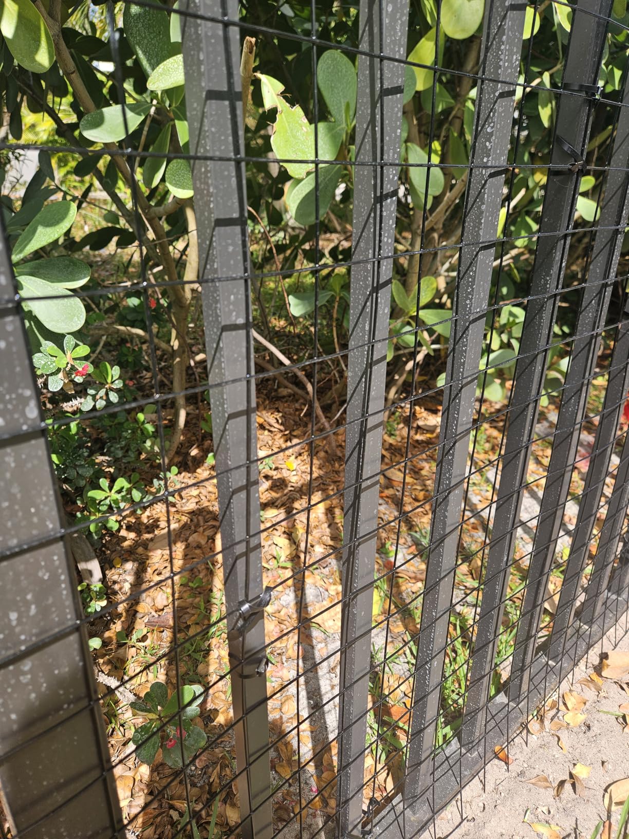 GILPWA Wire Fence, 48 in(H) X 50 ft(L) PVC Coated Welded Wire Fencing 2