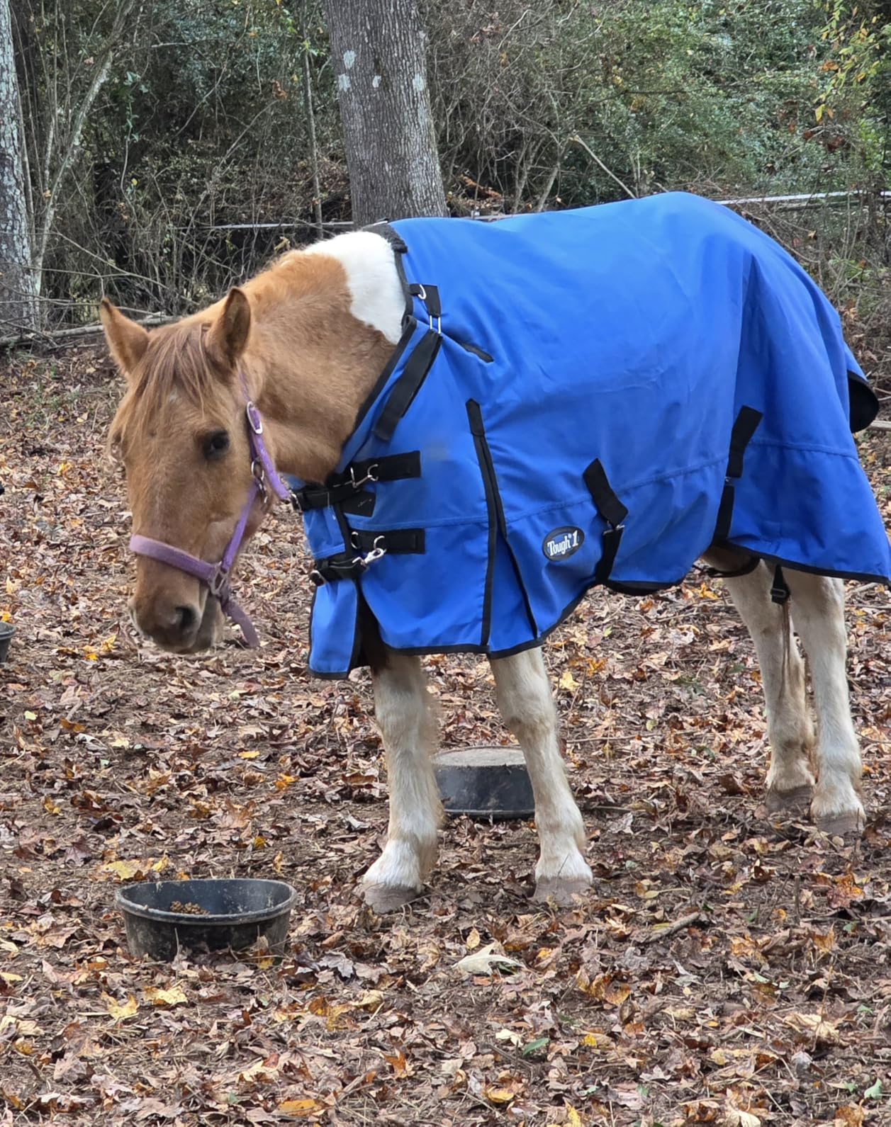 1200 Denier Heavyweight Waterproof Turnout Blanket w/Adjustable Neck customer photo 1