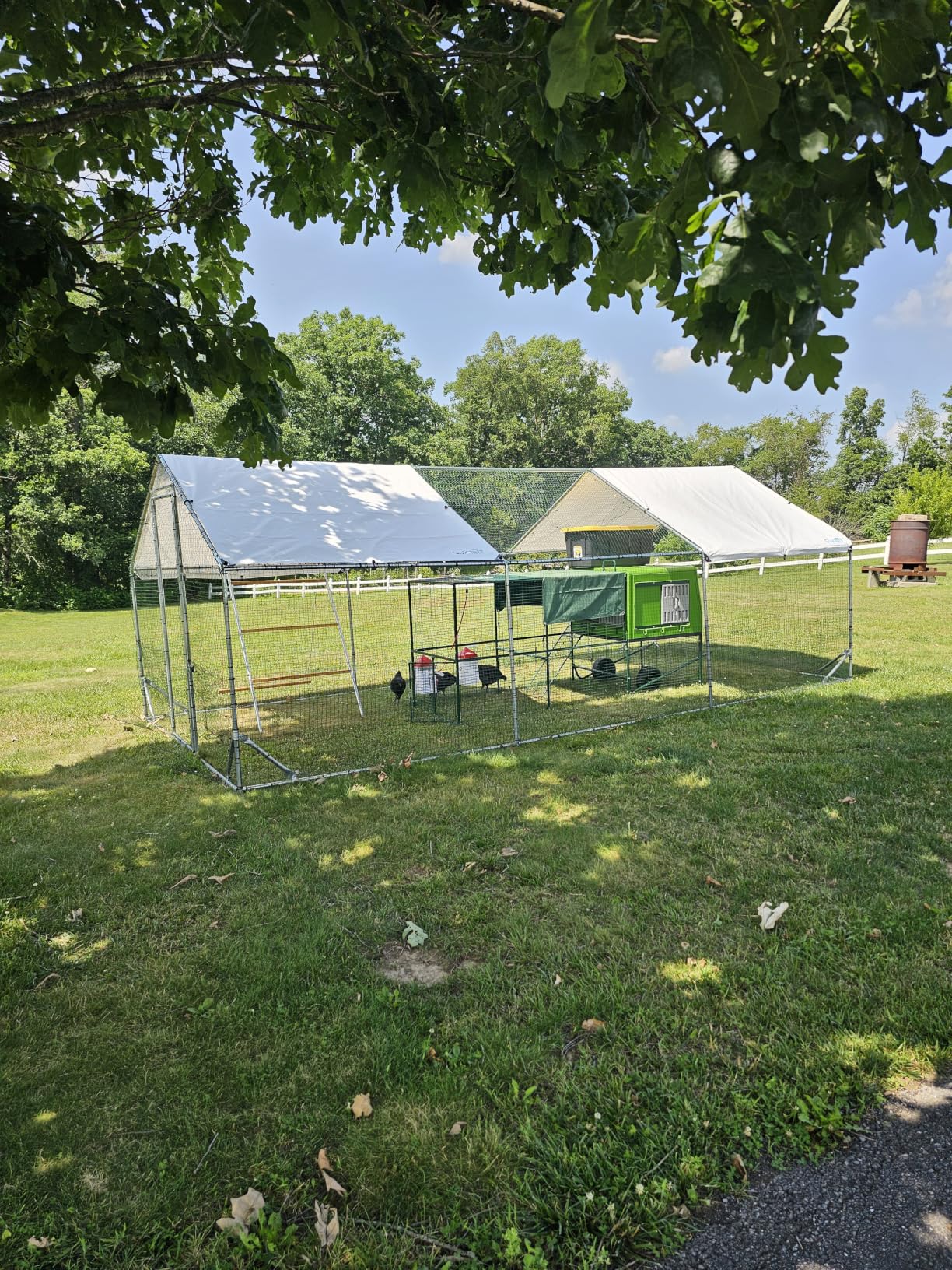 Quictent Large Metal Chicken Coop Run for 30+ Poultry with Metallic Perch, Side Hardware Cloth & Cover, Advanced Series Outdoor Walk-in Cage Hen Duck Rabbit Dog Pen Yard Farm House, 18x9x6.6FT customer photo 1