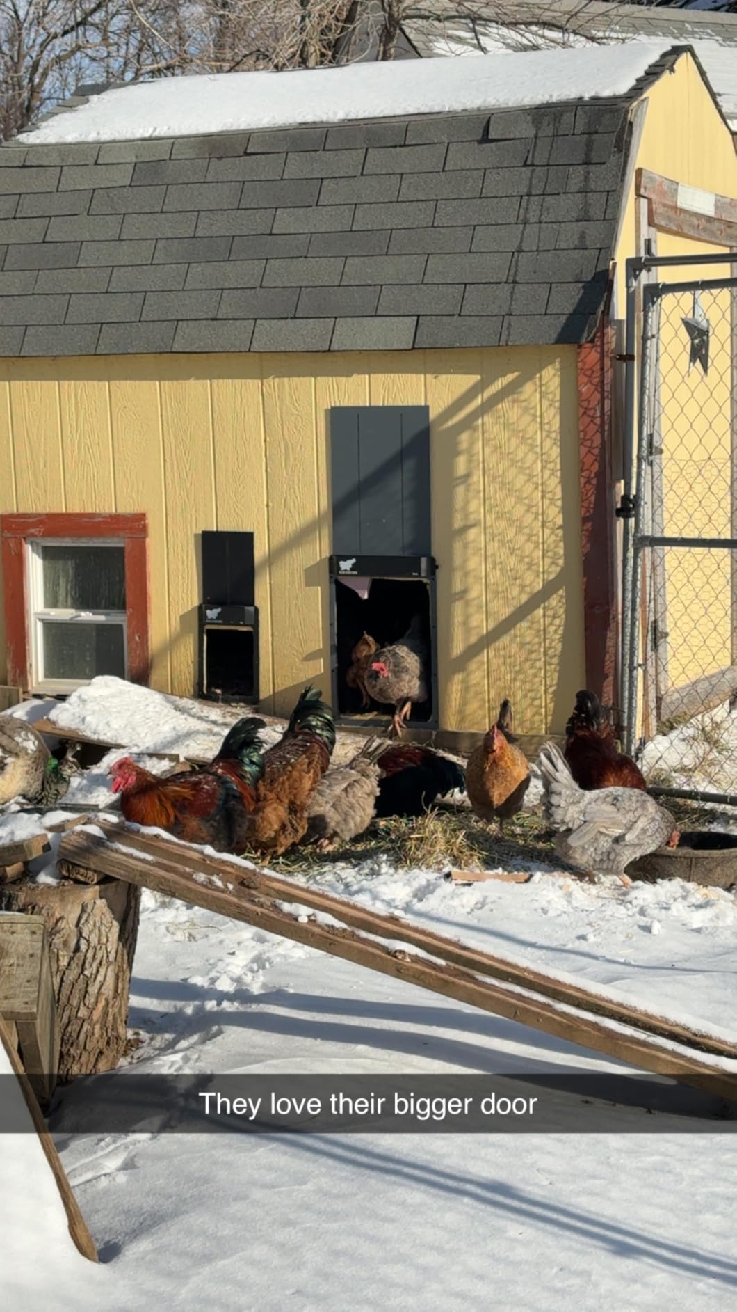 RUN-CHICKEN Door Giant - Large Automatic Poultry Coop Door for Ducks & Turkeys, Not for Chickens, Battery Powered/Solar Compatible, Heavy-Duty Aluminum, Predator Proof, Easy Install (Gray) customer photo 1