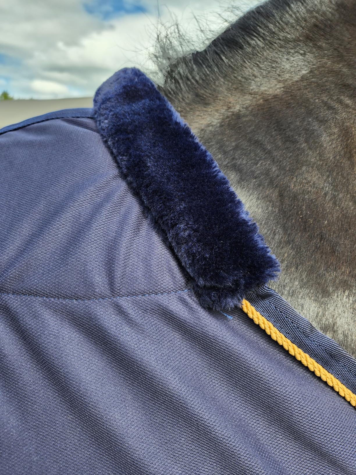 Equinavia Torr Quick Dry Fleece Horse Cooler Blanket Liner with Wither Relief - Navy - 76 in customer photo 1