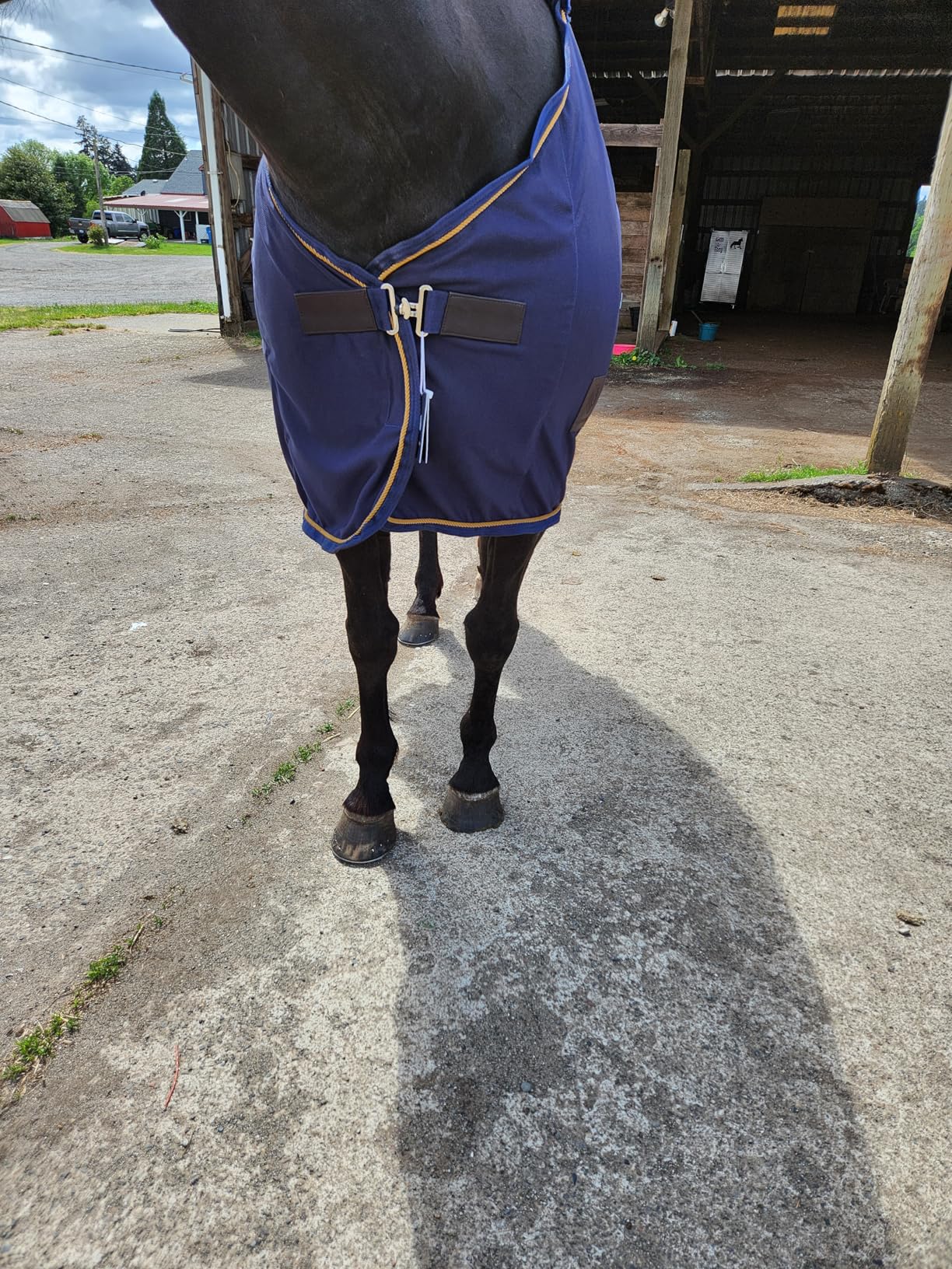 Equinavia Torr Quick Dry Fleece Horse Cooler Blanket Liner with Wither Relief - Navy - 76 in customer photo 2