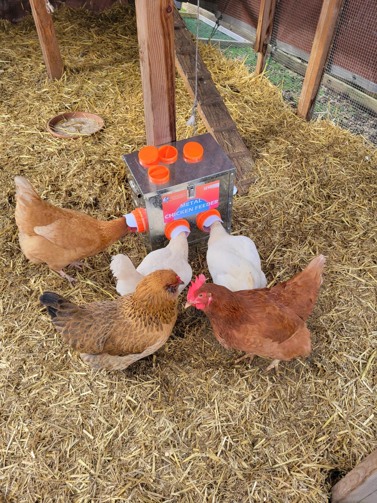 HAYOHRT 85-120LBS Capacity Chicken Feeder No Waste 10-Ports Automatic Large Poultry Feeder with Latch & Handle for Chickens Bantams Pheasants Poultry Coop Weatherproof customer photo 1