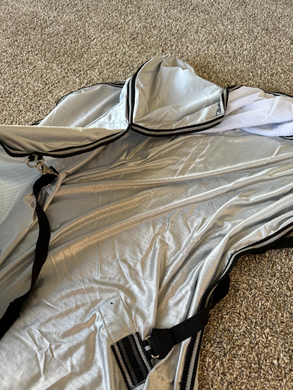 Equinavia Aktiv Athletic Detachable Horse Fly Sheet with Neck, Horse & Pony | Turnout Horse Fly Sheets, Breathable Horse Sheet, Lightweight Equine Fly Sheet for Horses, Summer UV and Insects Protection customer photo 1