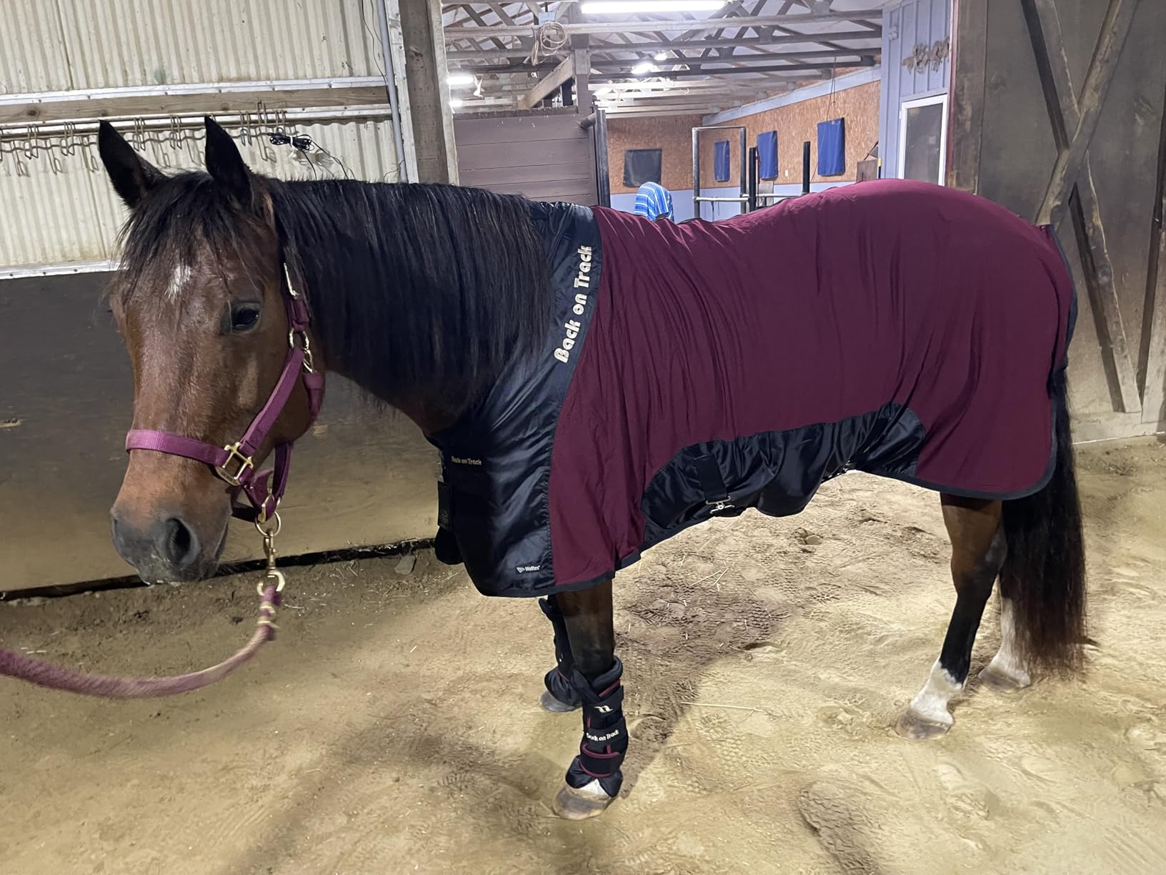 Back on Track Royal Mesh Sheet Deluxe Horse Blanket, Green, 84