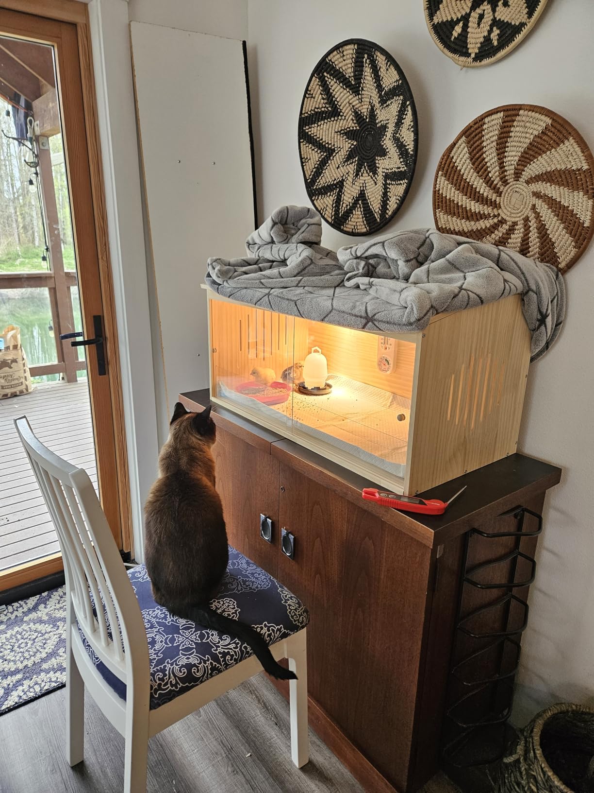 Large Wooden Chicken Brooder Box with Bulb Set and Thermometer - Brooder Box for Chicks Indoor Accommodates Up to 12 Chicks - Ideal for Chickens, Ducks, Quails, Hamsters, and Lizards (32x16x16 Inches) customer photo 1